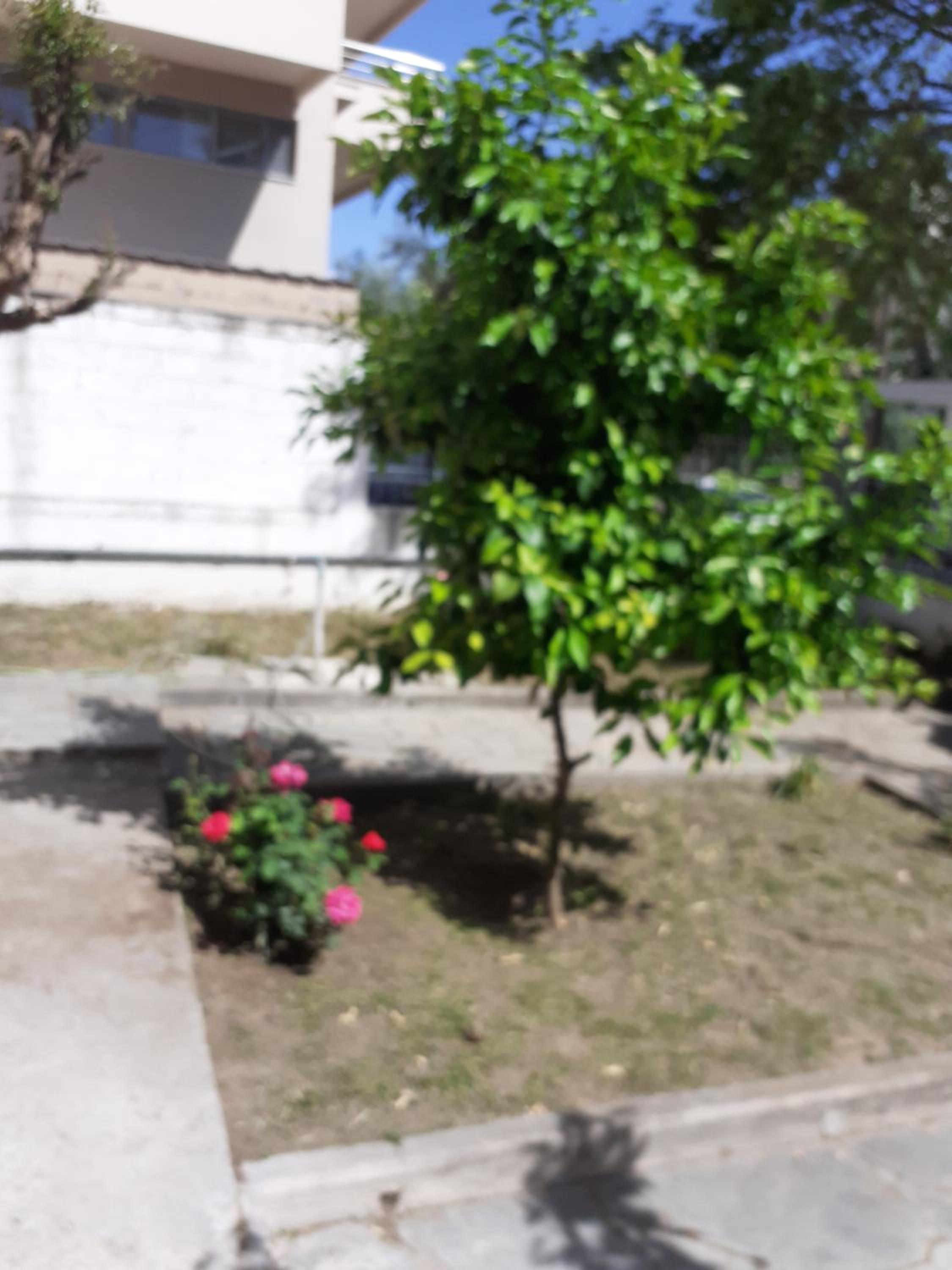 Photo 33