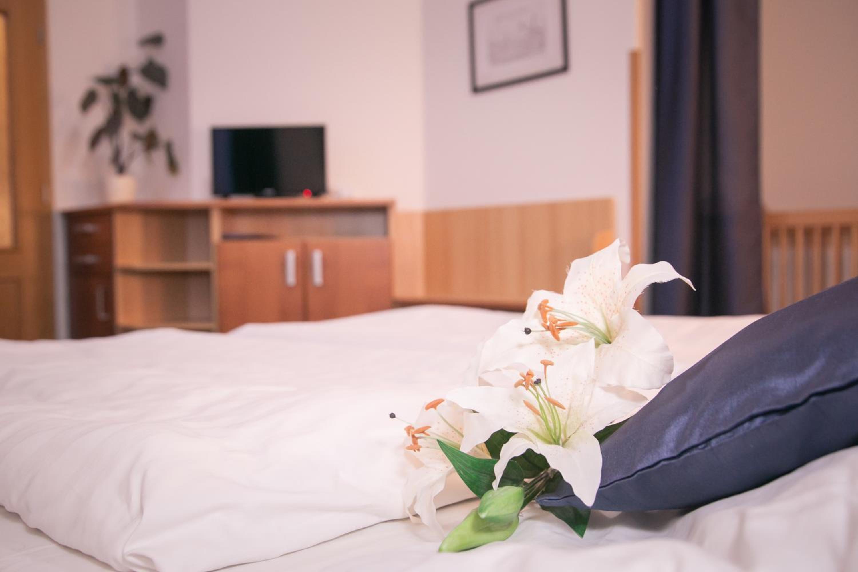 Penzion Hotelu Central
