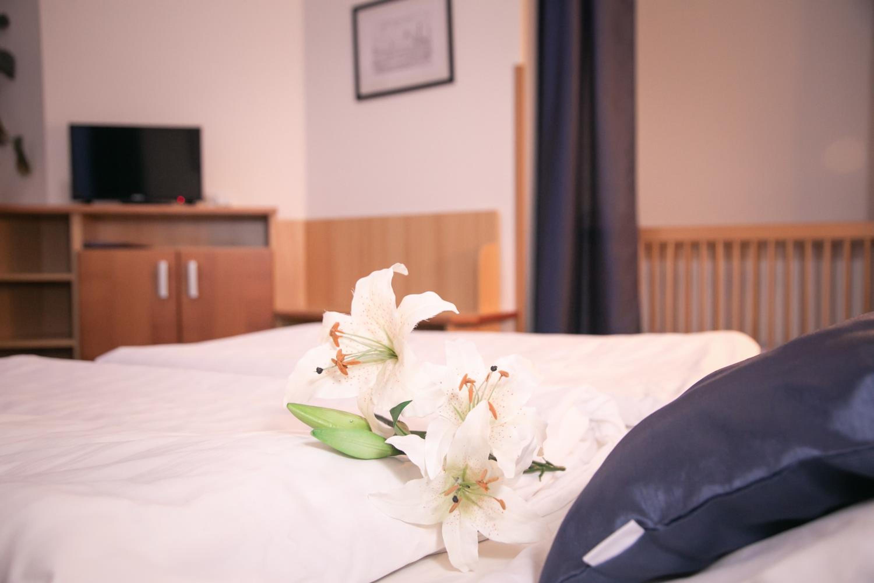 Penzion Hotelu Central