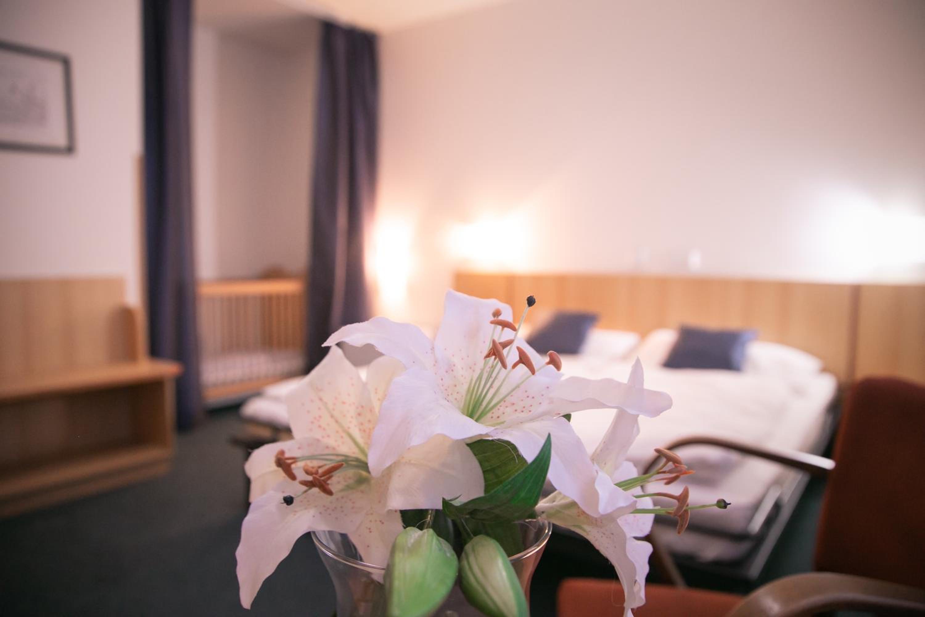 Penzion Hotelu Central