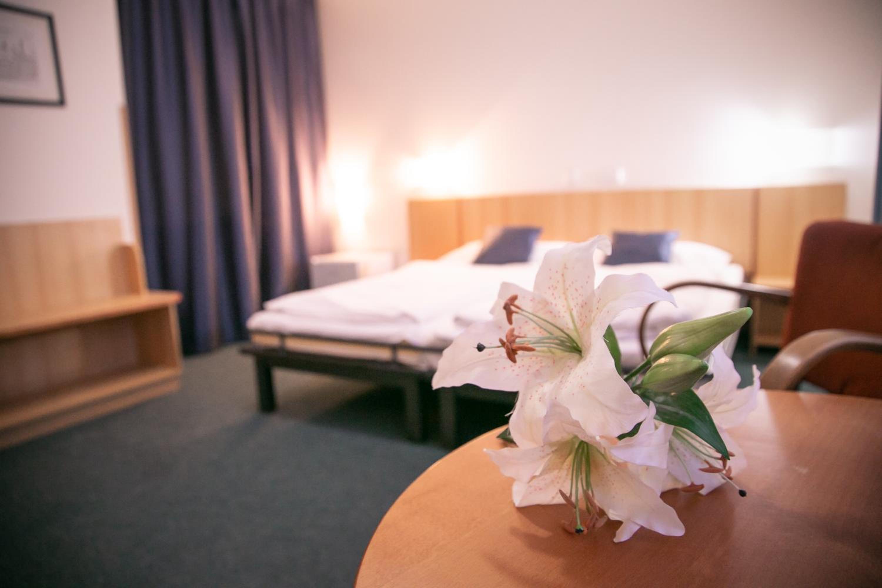Penzion Hotelu Central