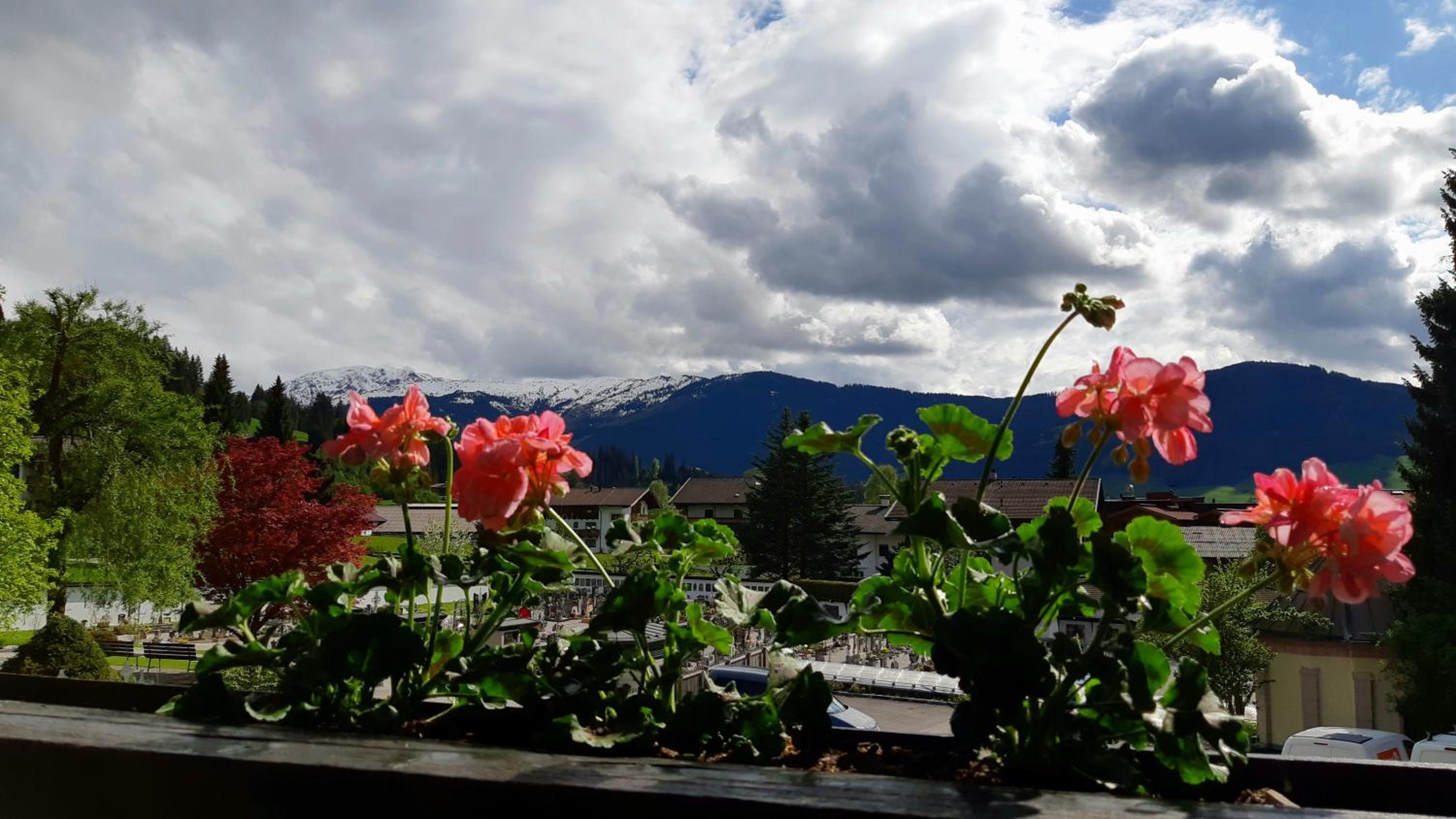 Appartement MIRAN by Miha view 2