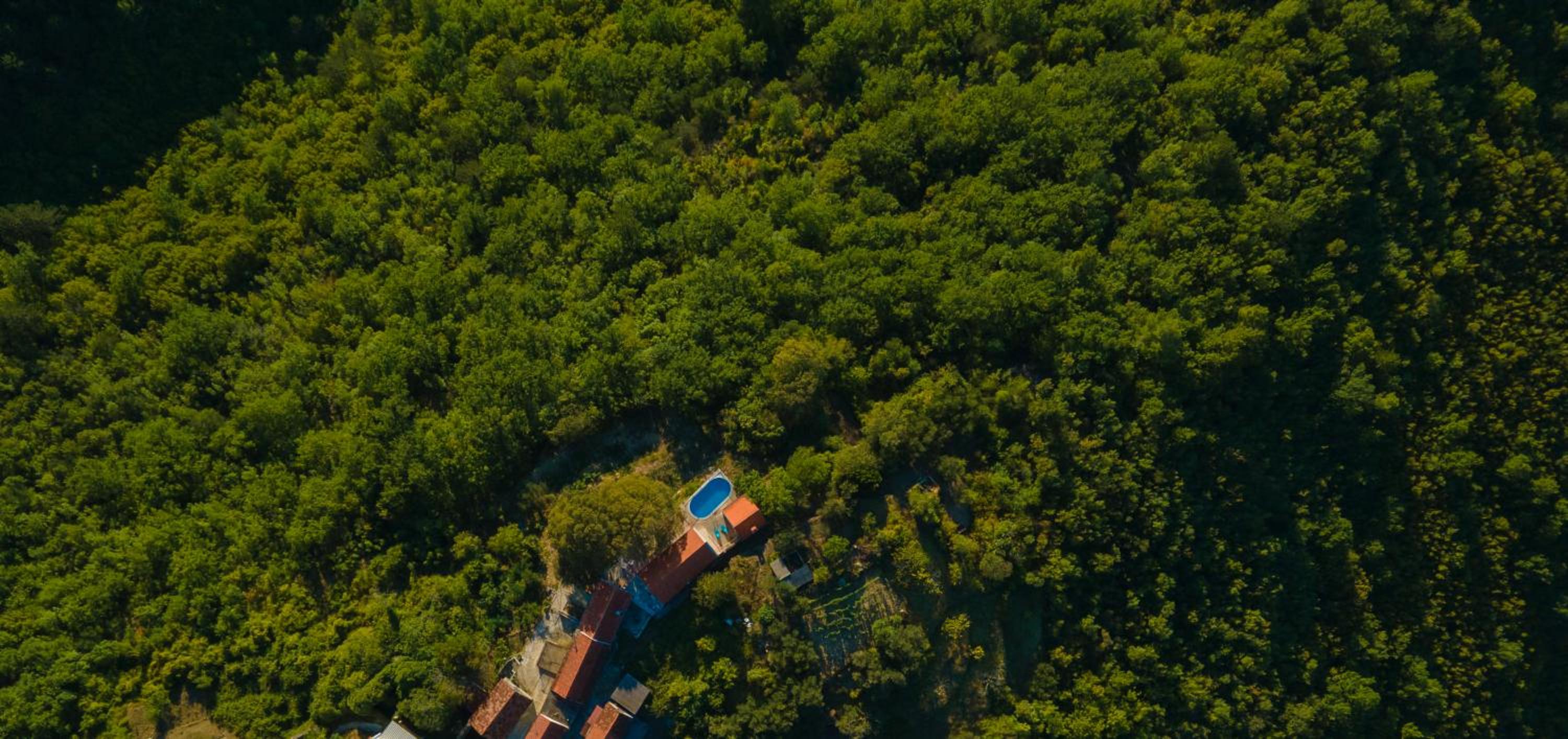 Hotel Dalmatian Green Peak - Image 1