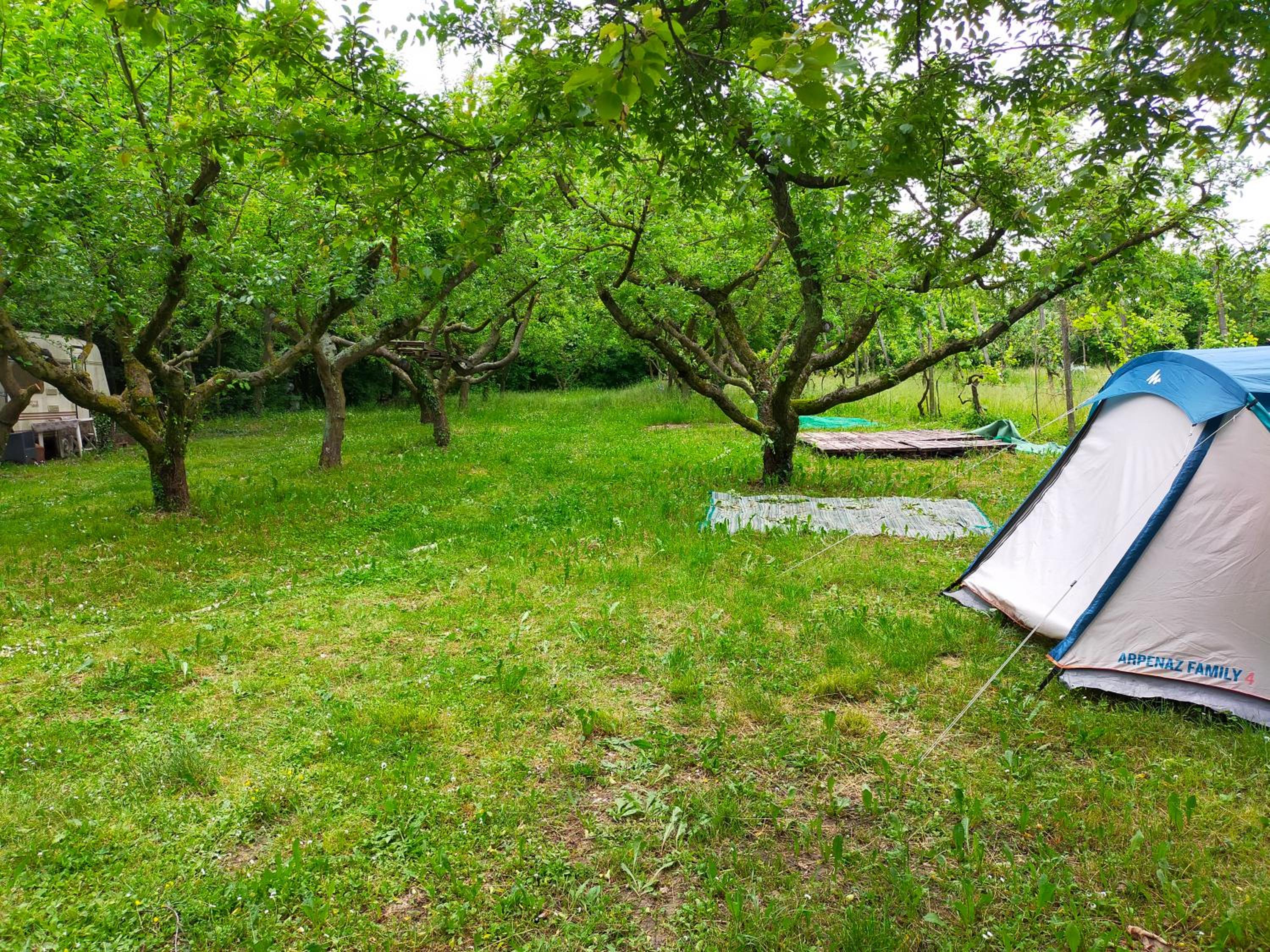 Agriturismo Orto Arcobaleno view 5