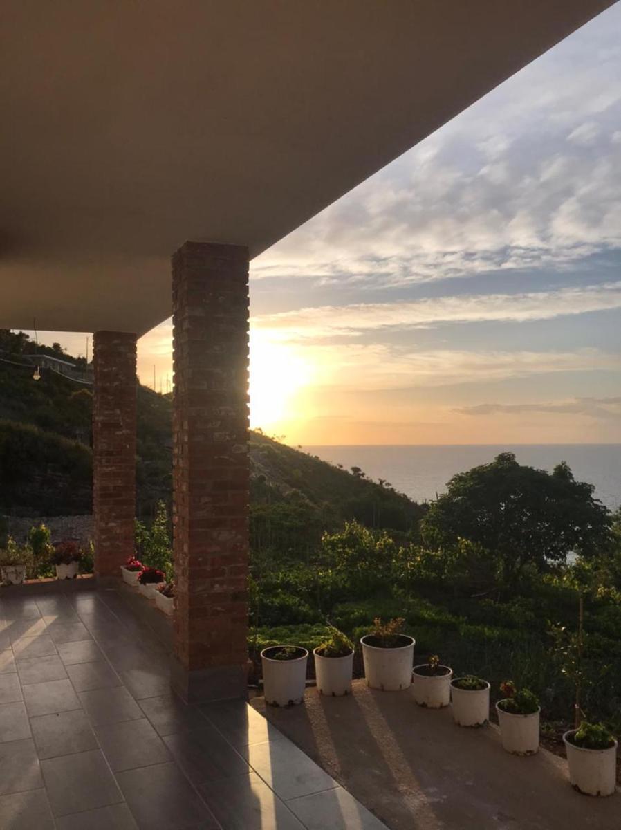 Grand Seaview Apartments