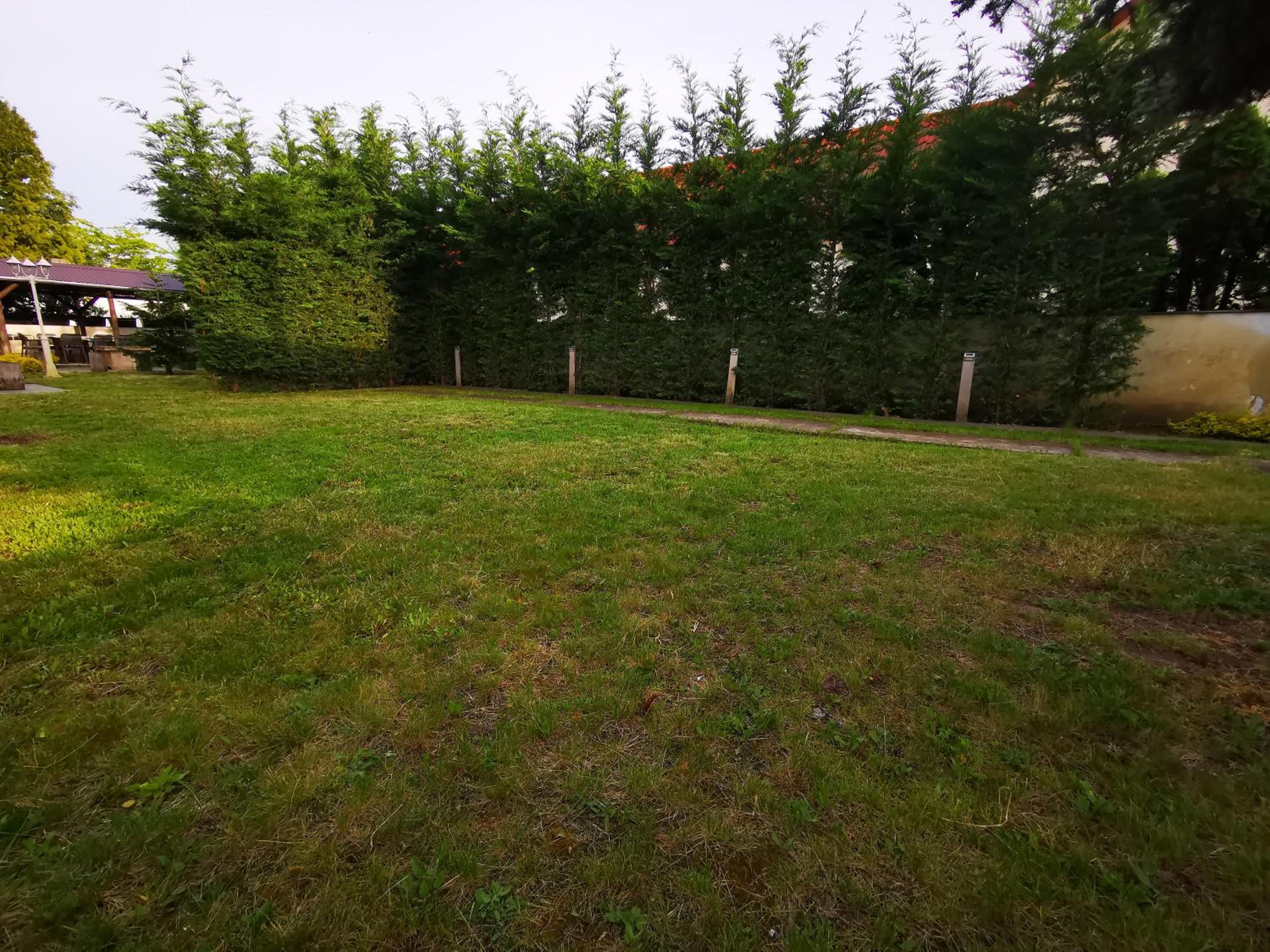 Photo 49