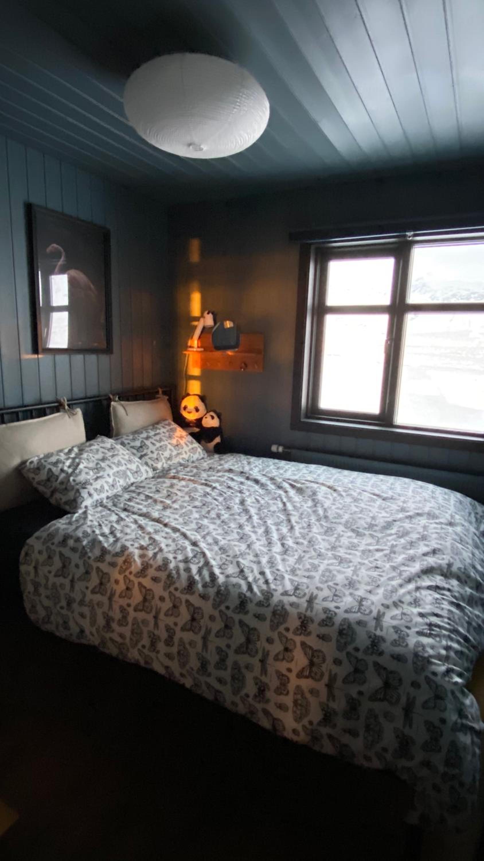 Photo 9