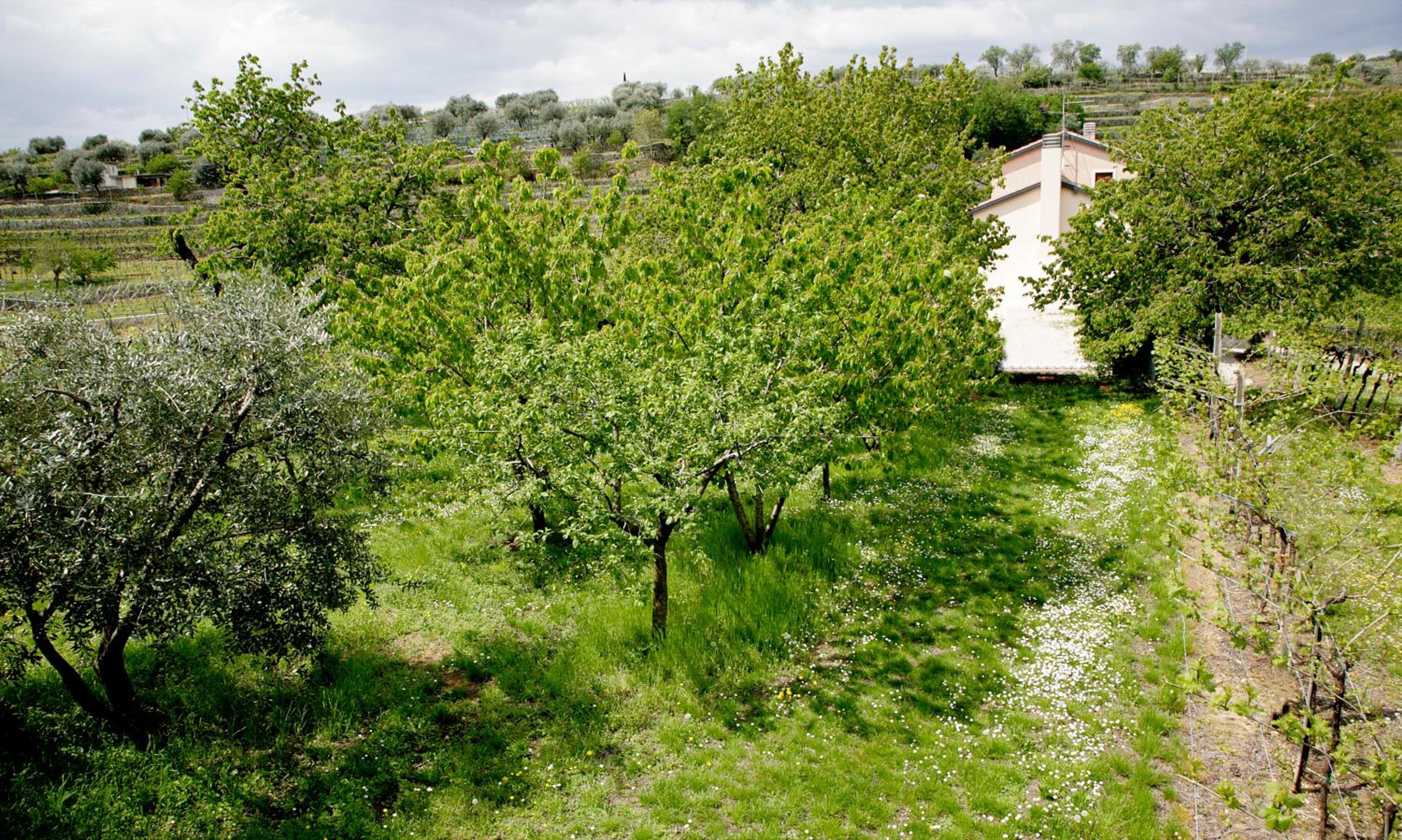 B&B Il Pettirosso