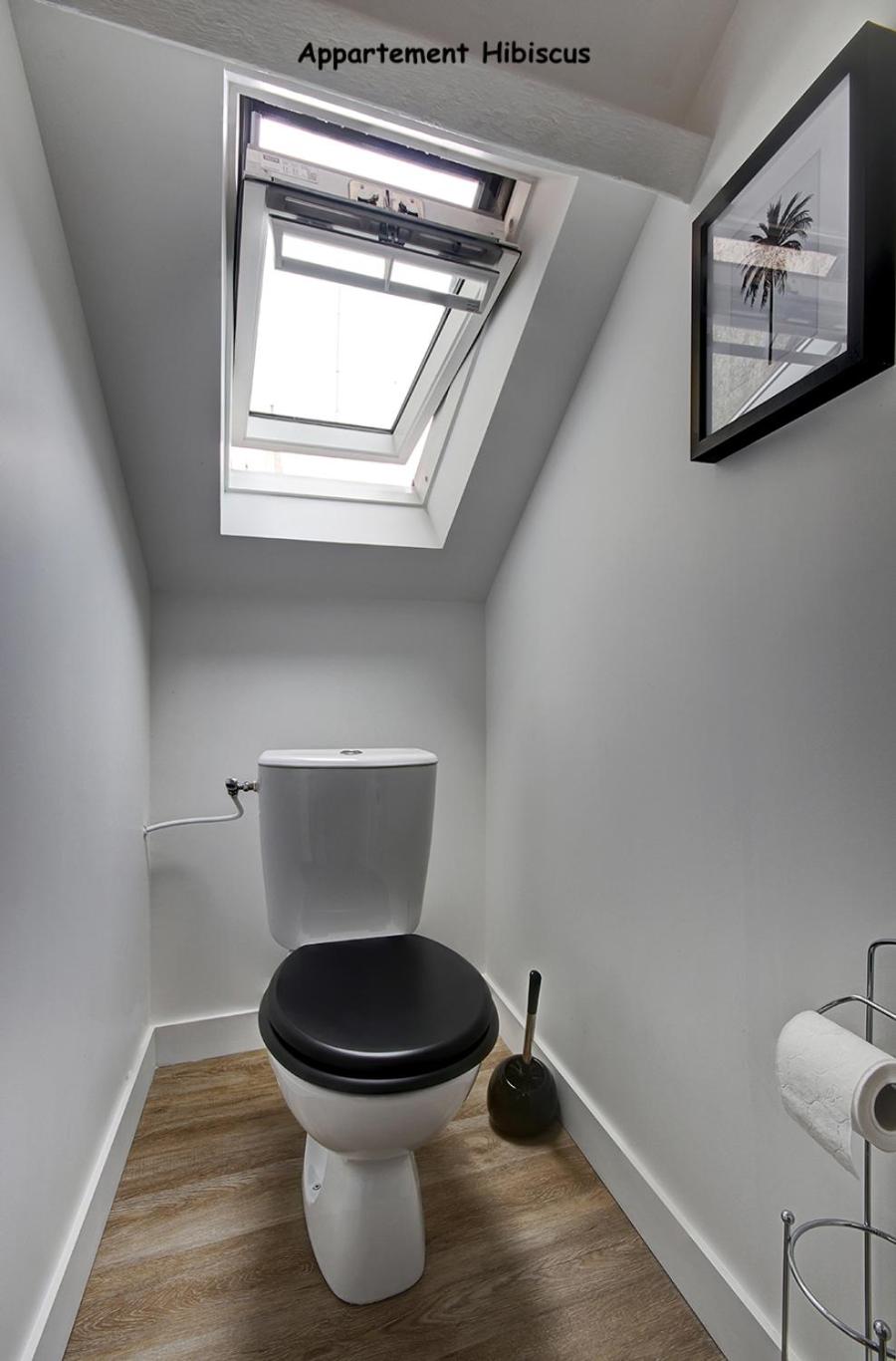 Appartements de caractère centre
