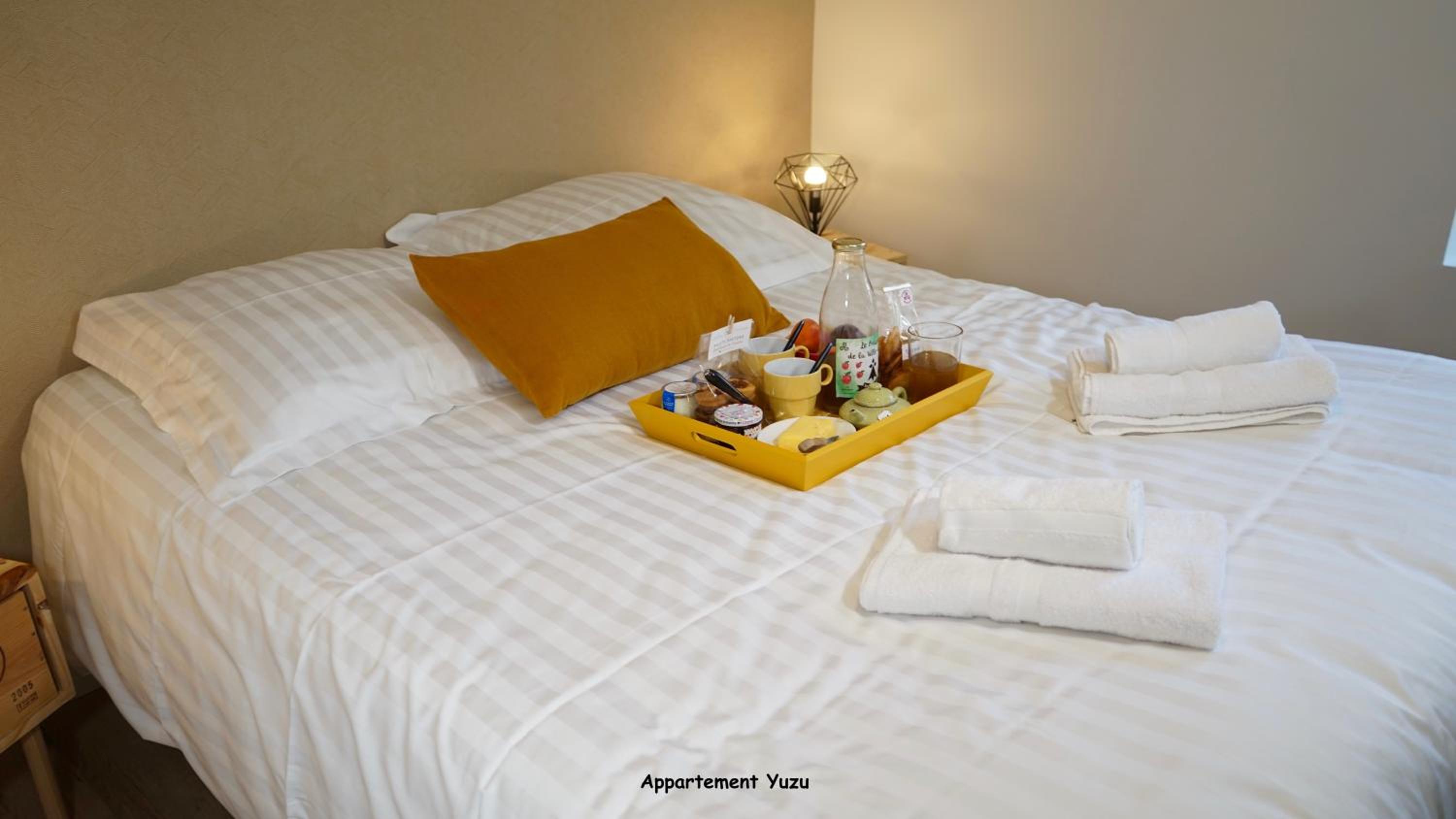 Appartements de caractère centre