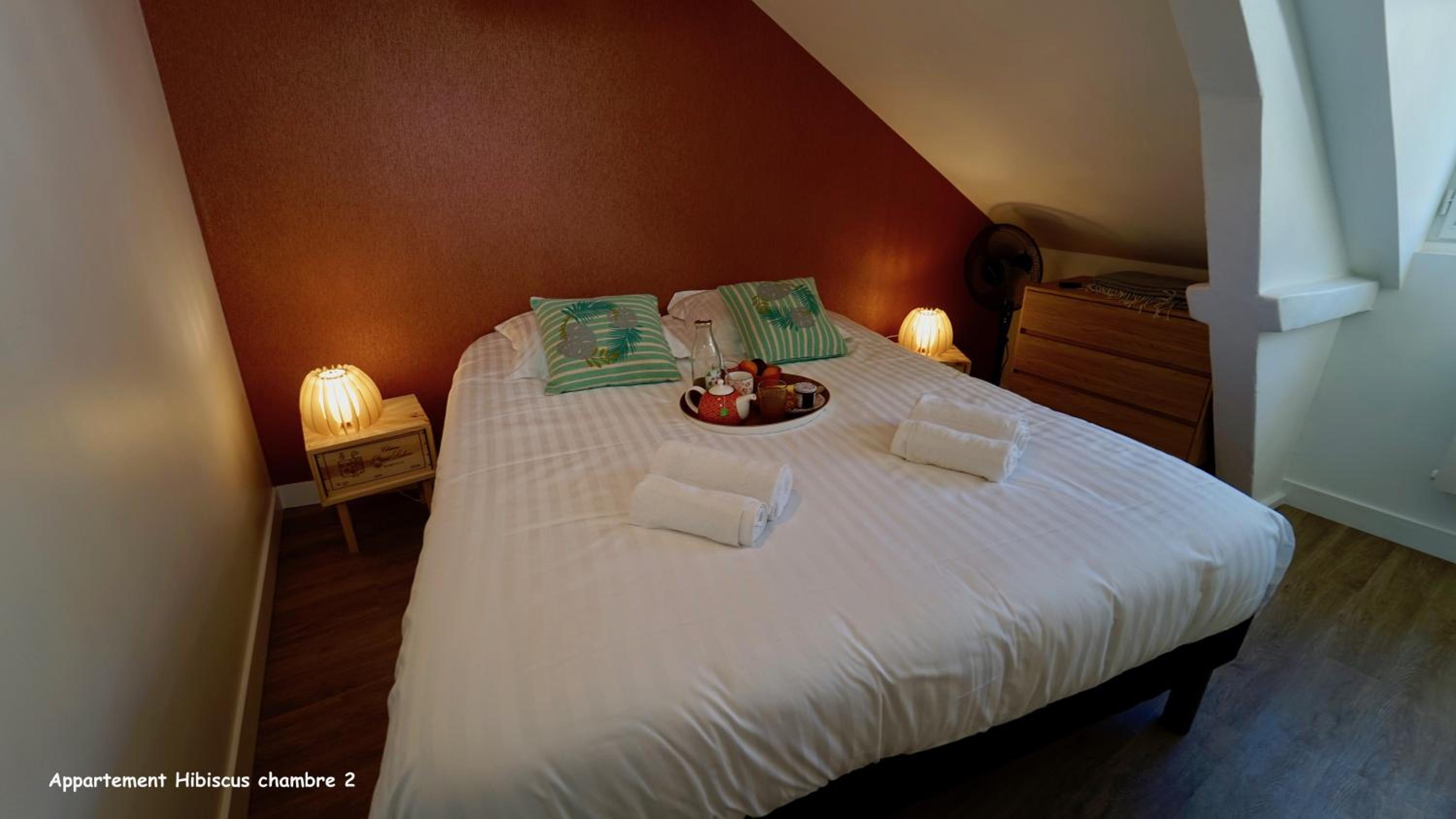 Appartements de caractère centre