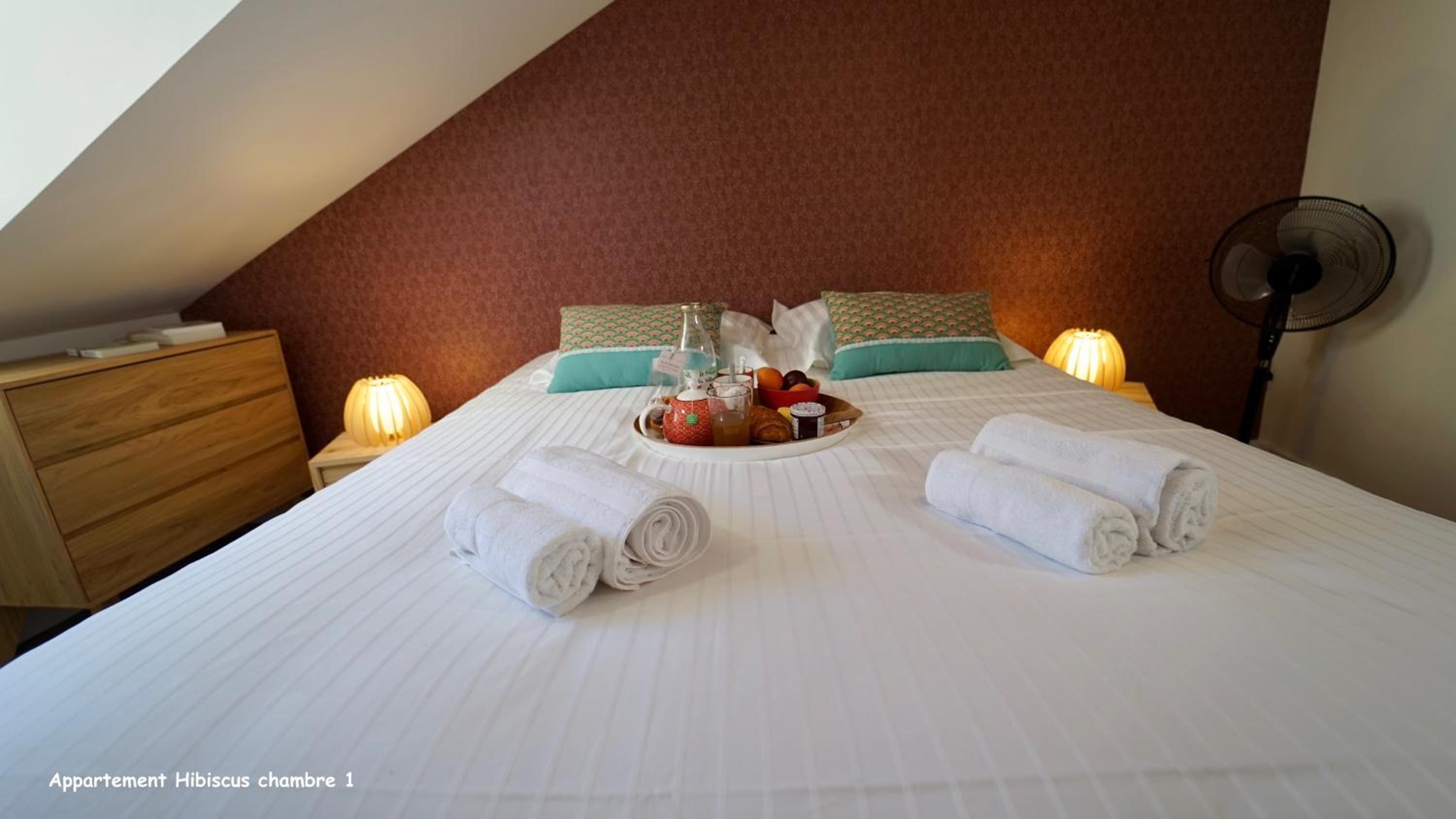 Appartements de caractère centre