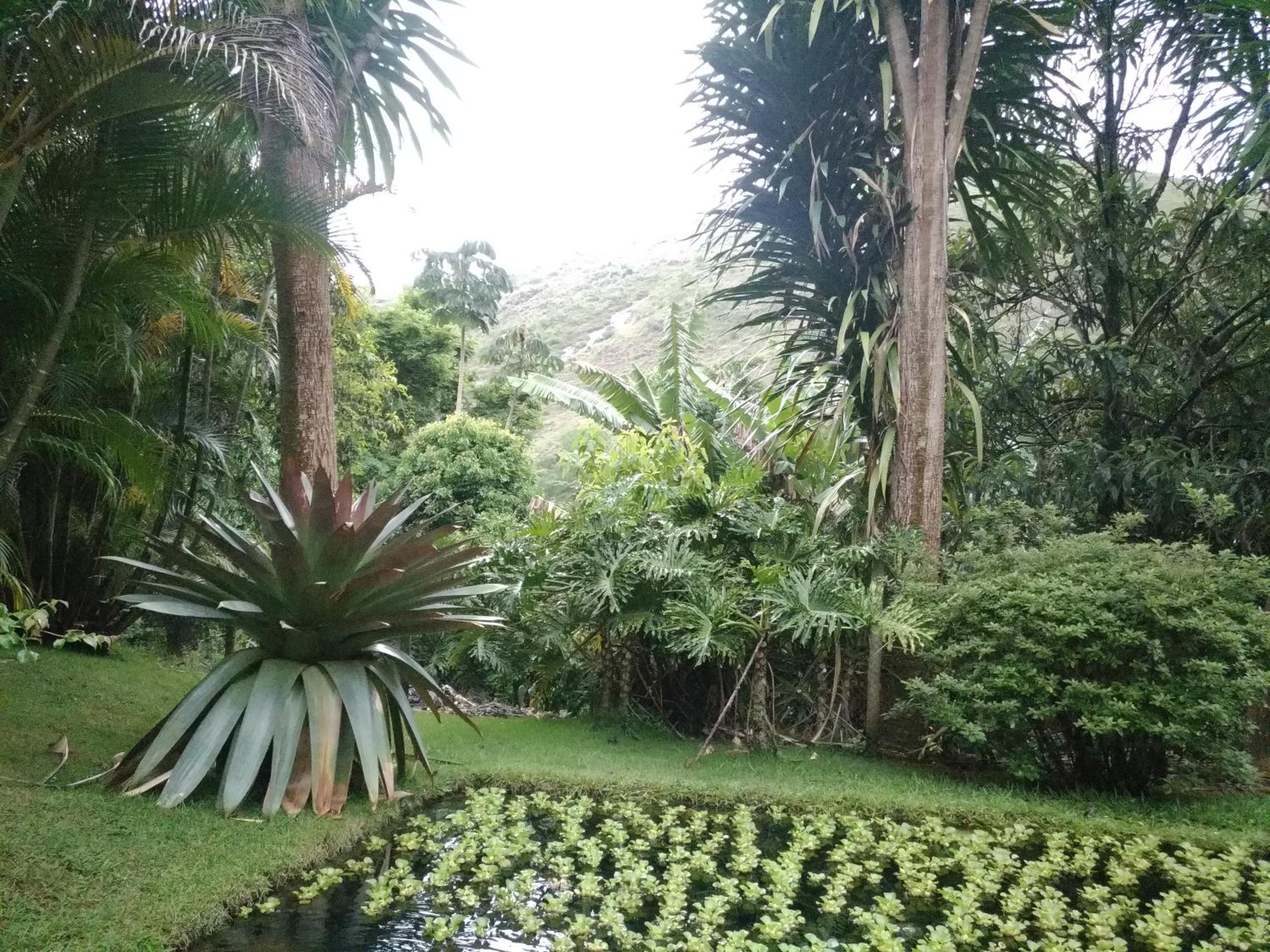 Quinta da Pedra do Elefante