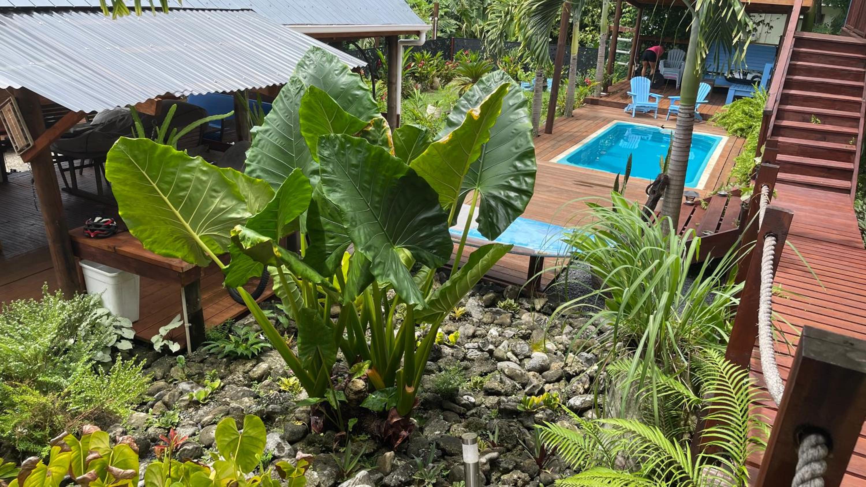 Ariki Retreat Adults Only - Part of the ARIKI EXPERIENCE view 5