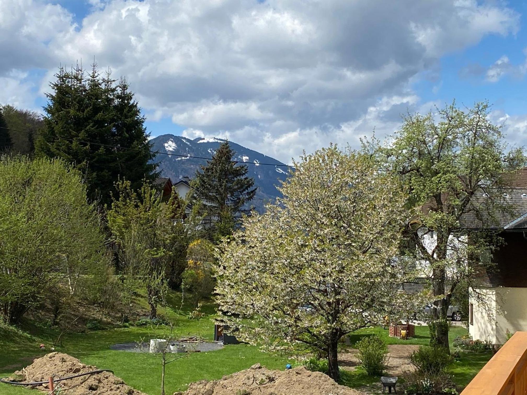 Casa Blu Kärnten - One Holiday in Three Countries - Cold&Hottub, Sauna - Piste