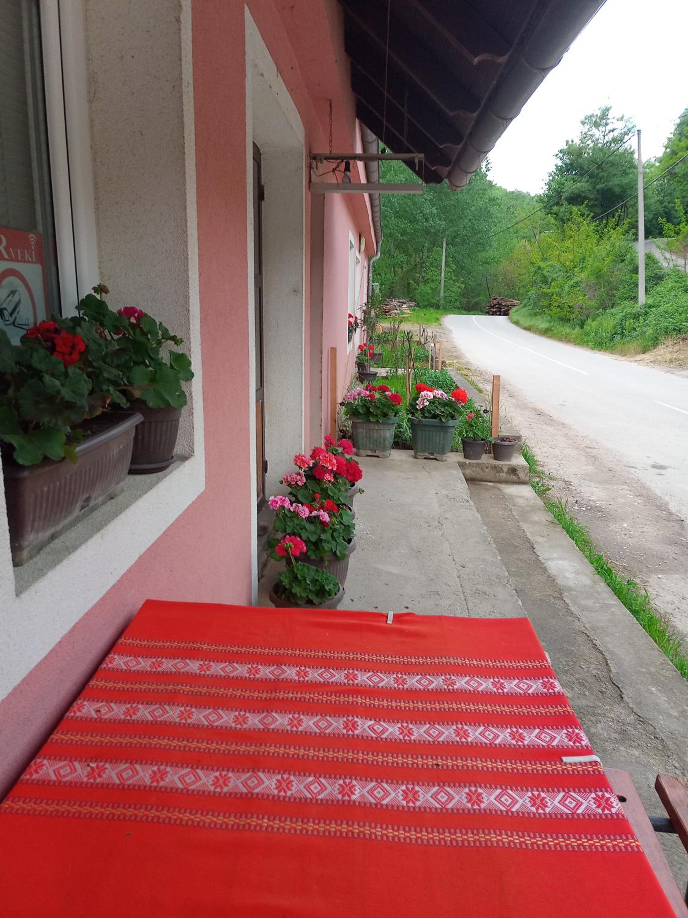 Photo 6