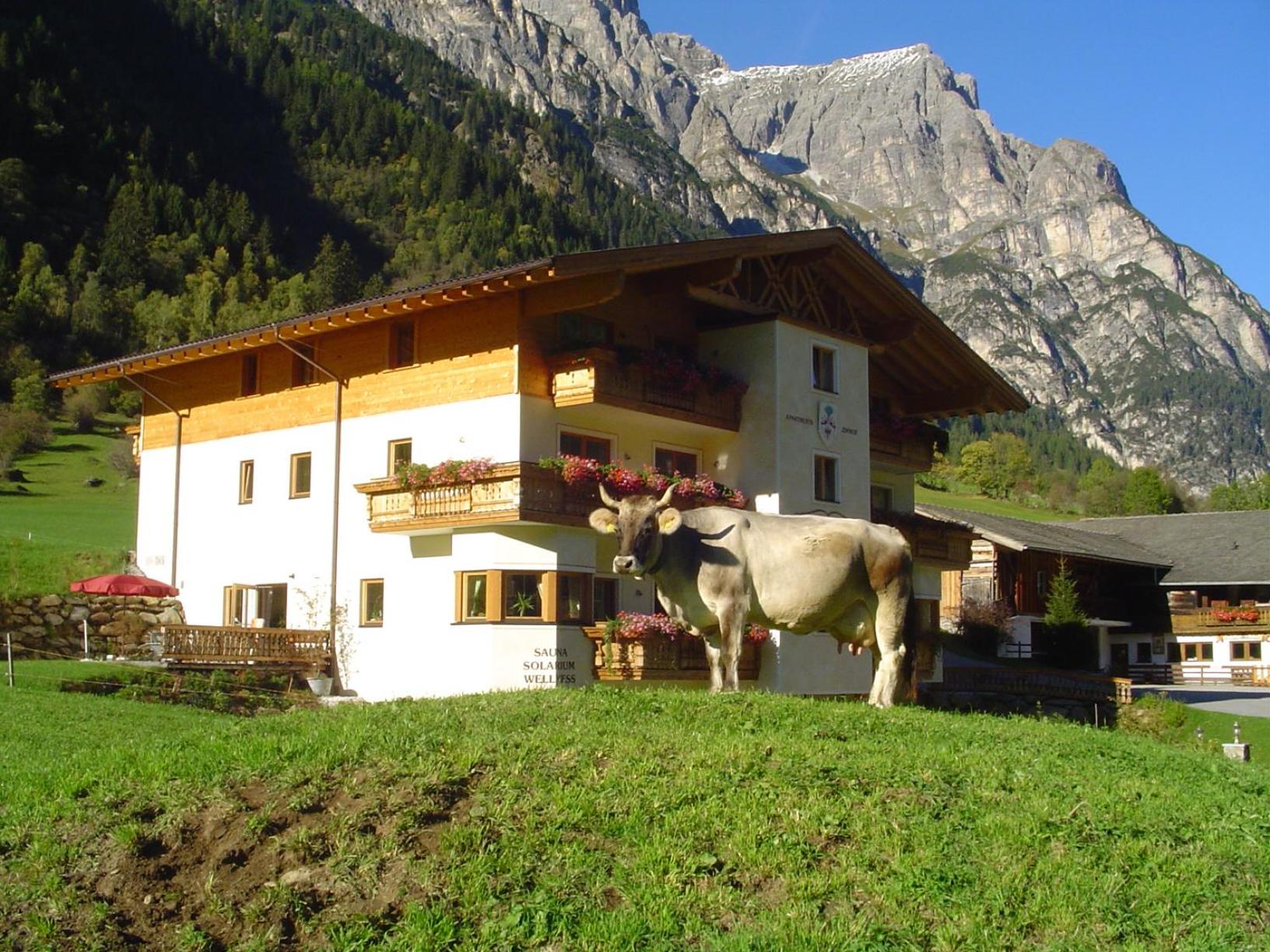 Alfaierhof-Bergheimat view 2