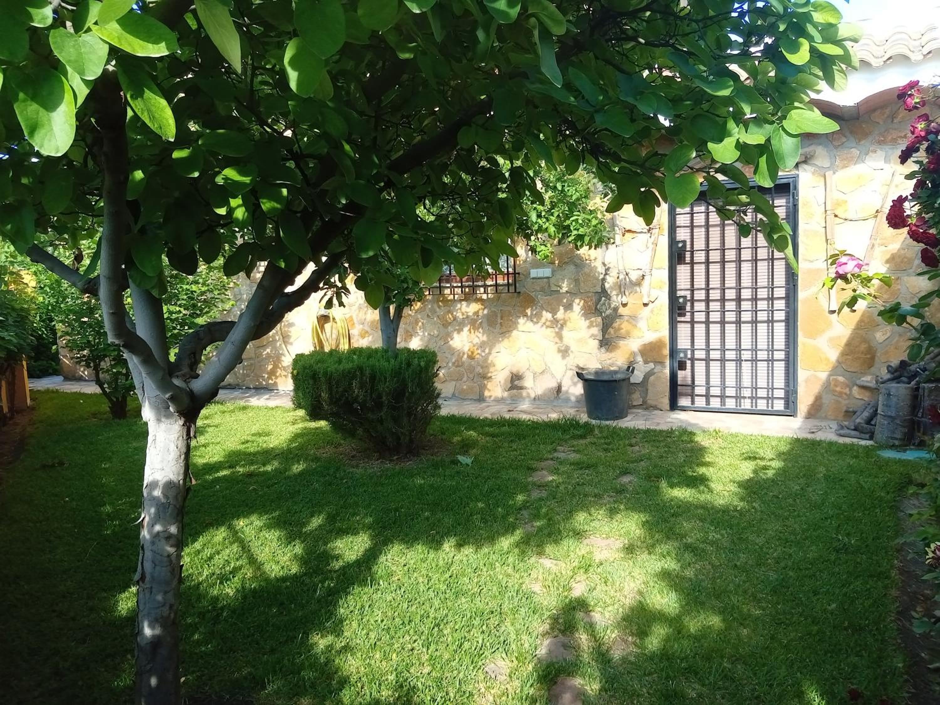 Photo 17