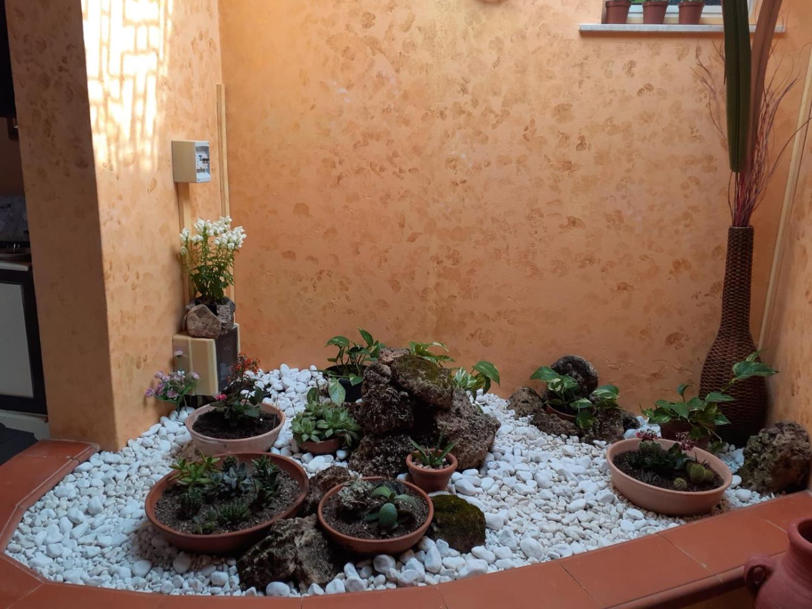 Casa del Pino
