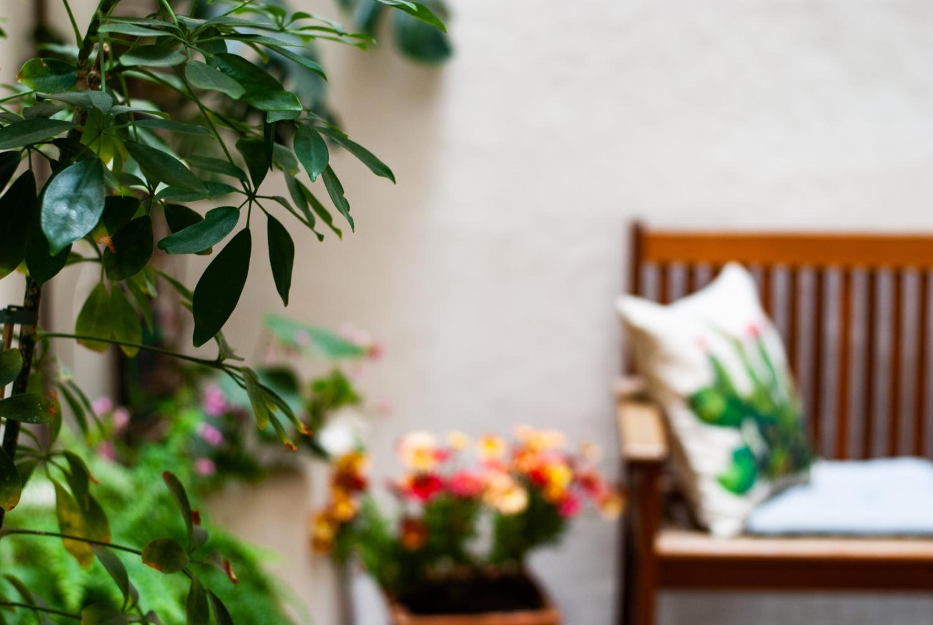 Affittacamere B&B Carella