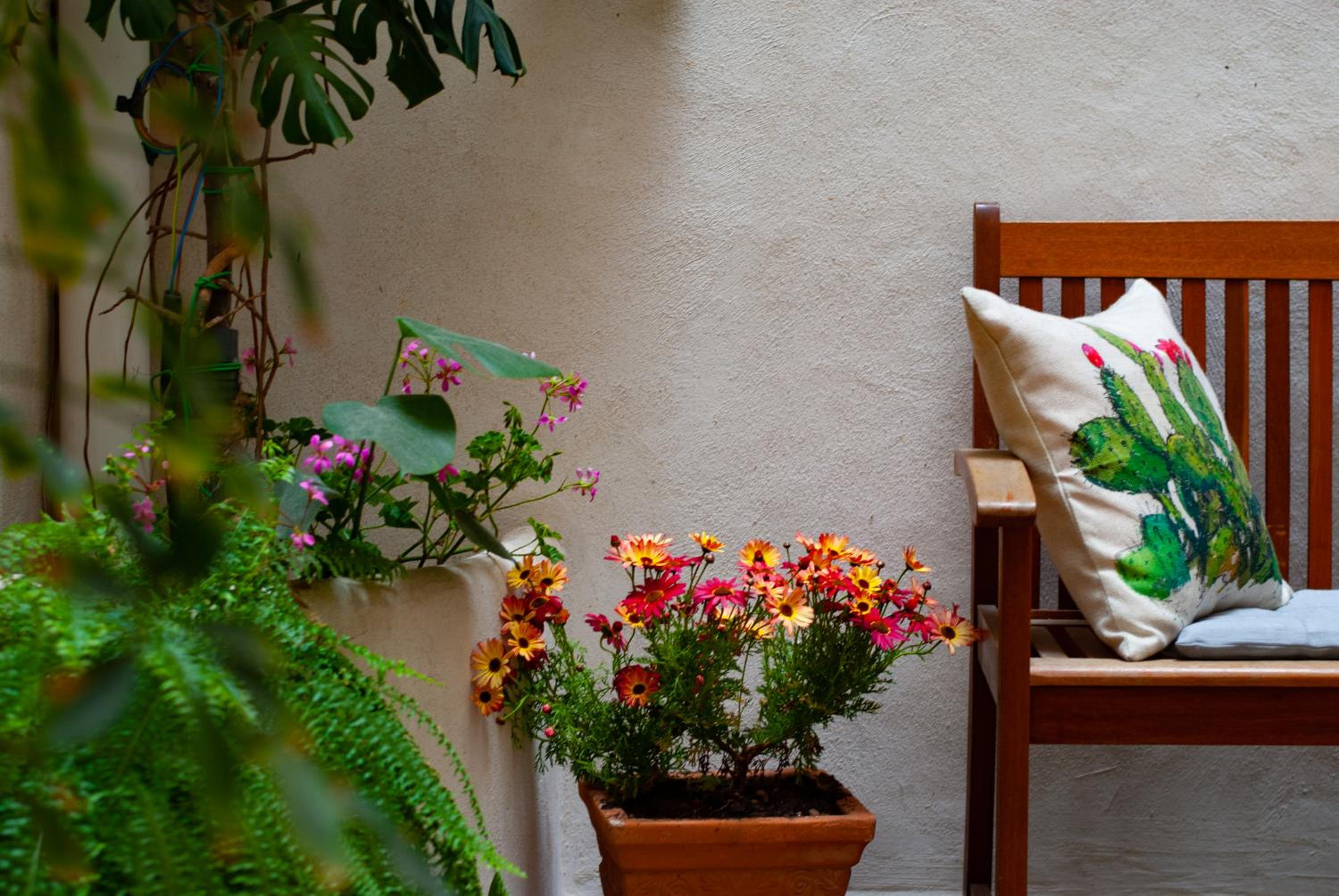 Affittacamere B&B Carella