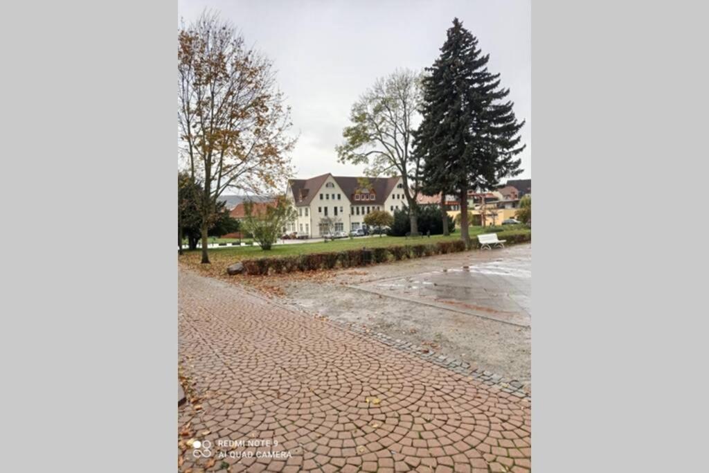 Apartment Am Kurpark view 3