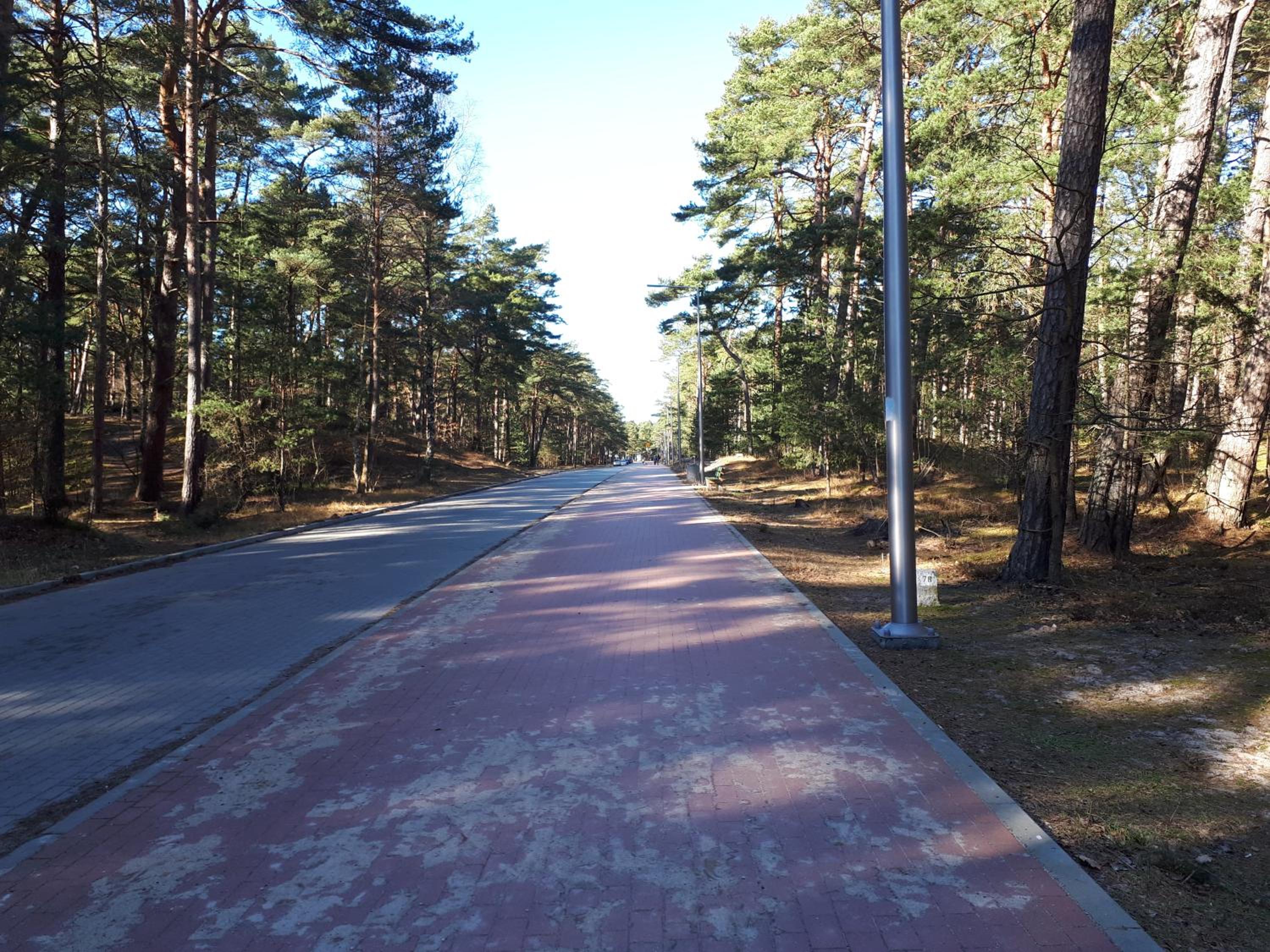 Photo 40