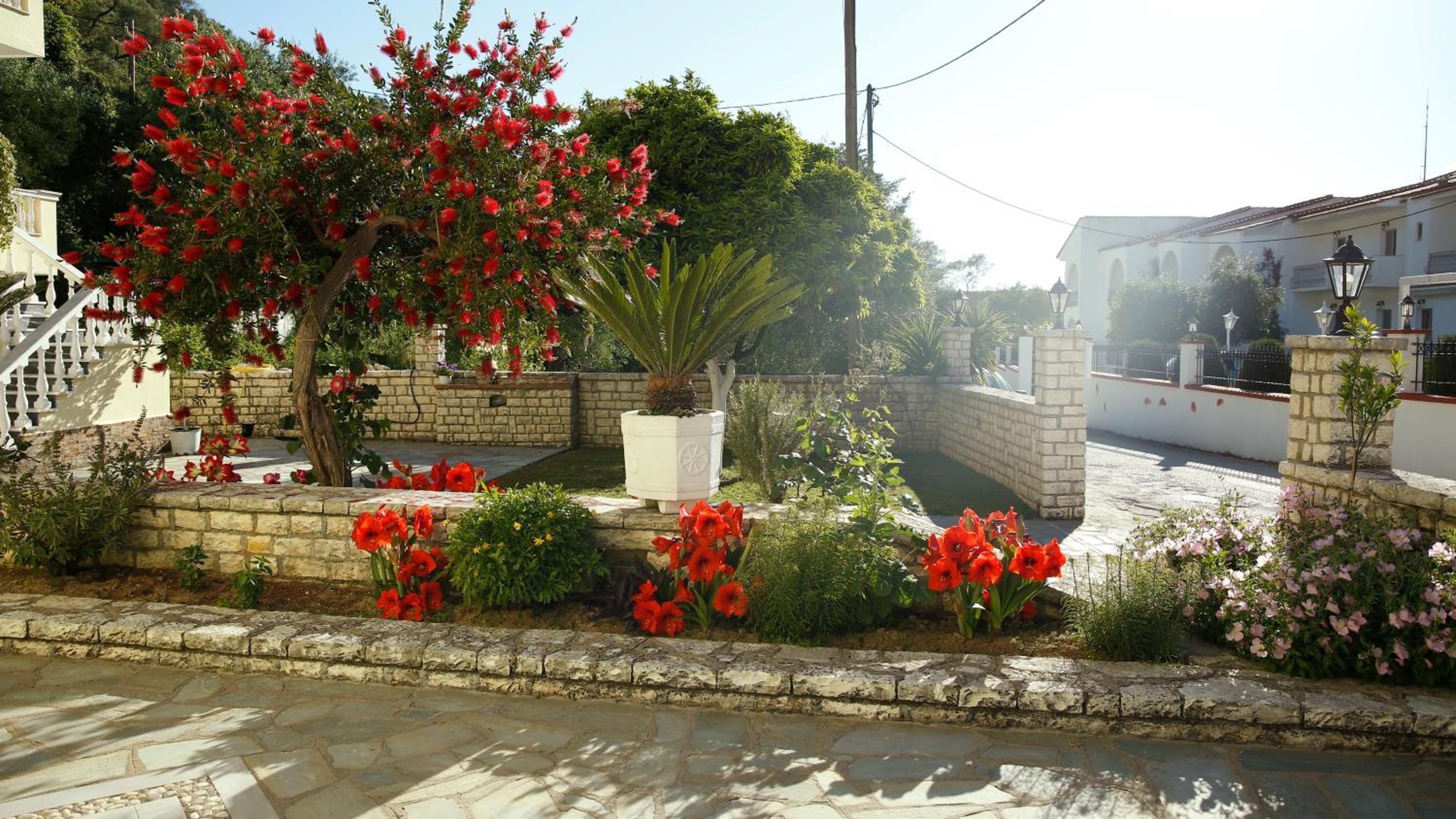 Photo 44
