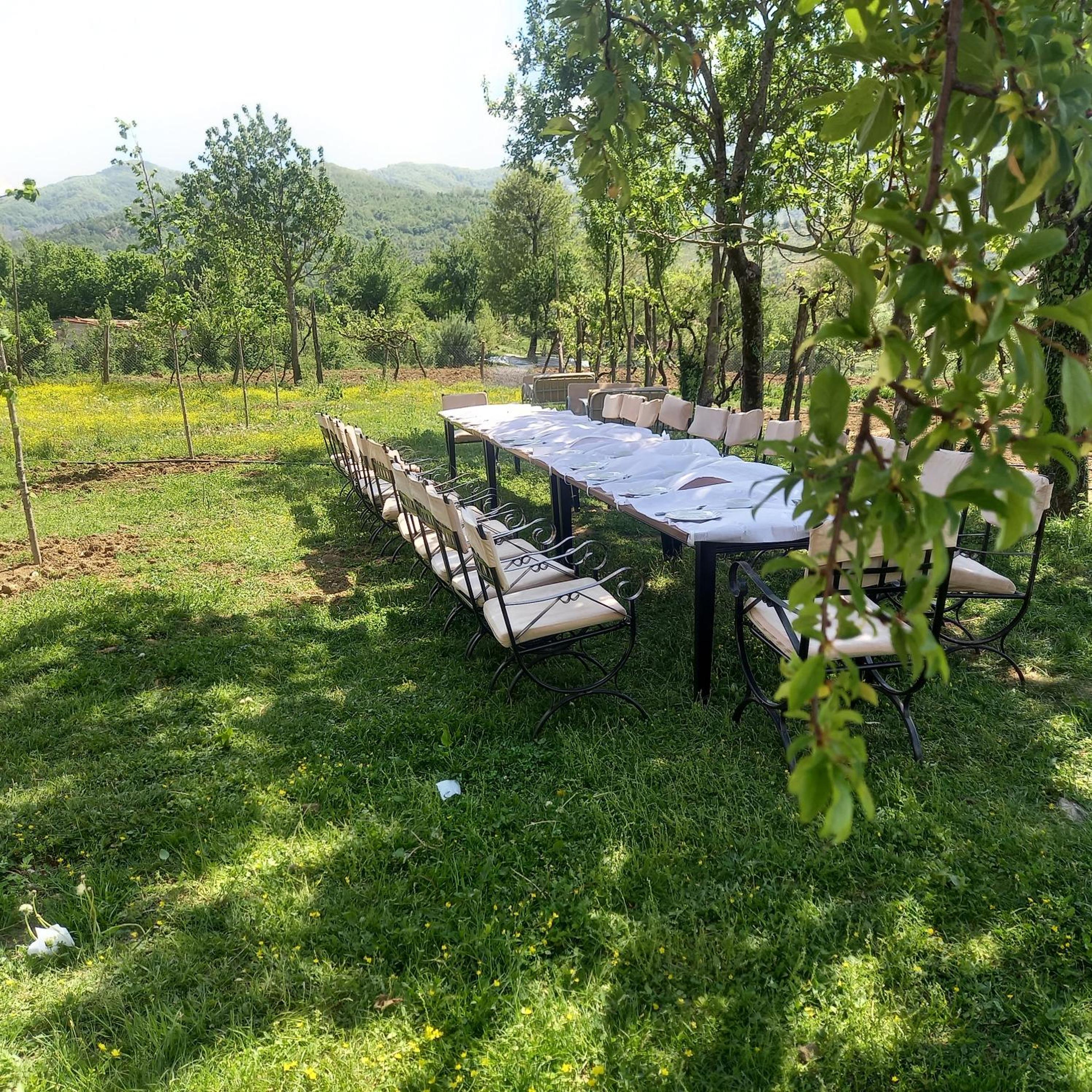 VILA DISHA