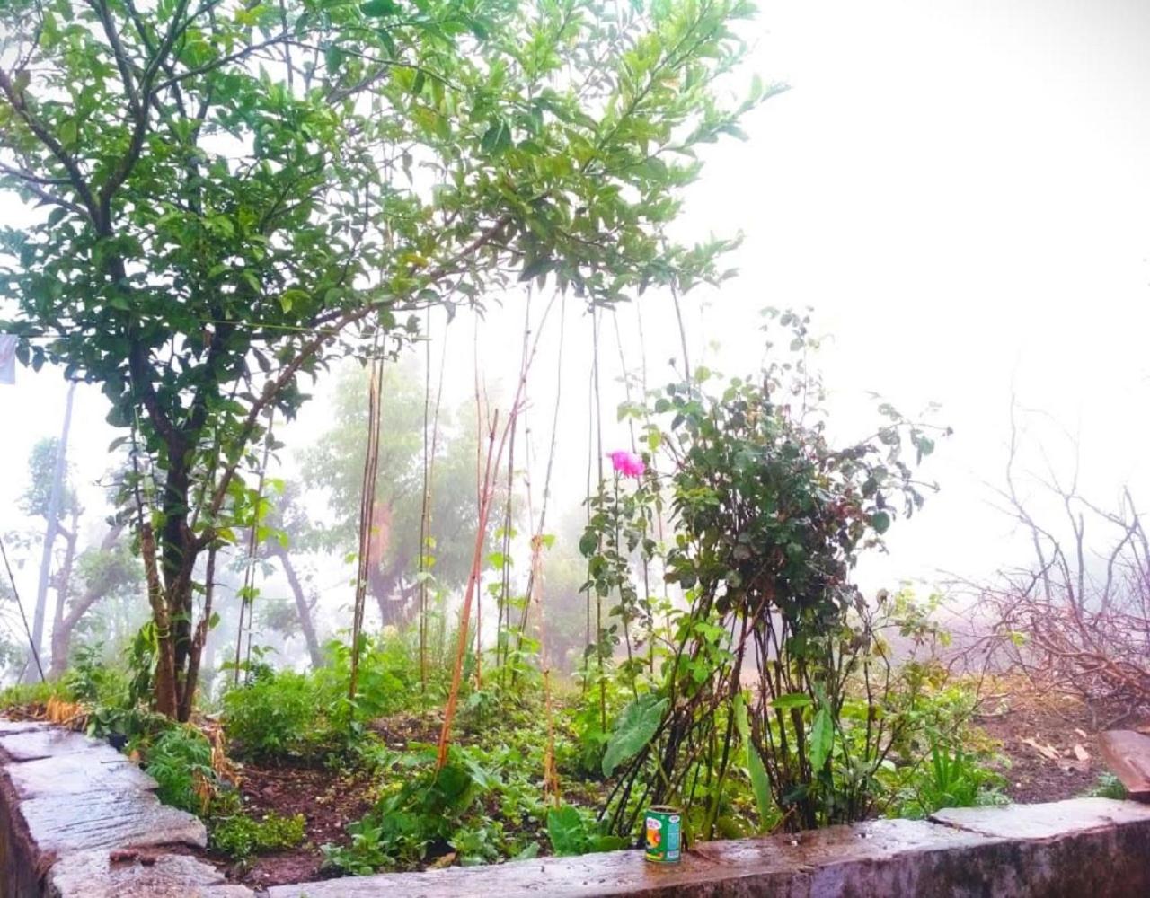 Green Valley Home Stay by StayApart view 5