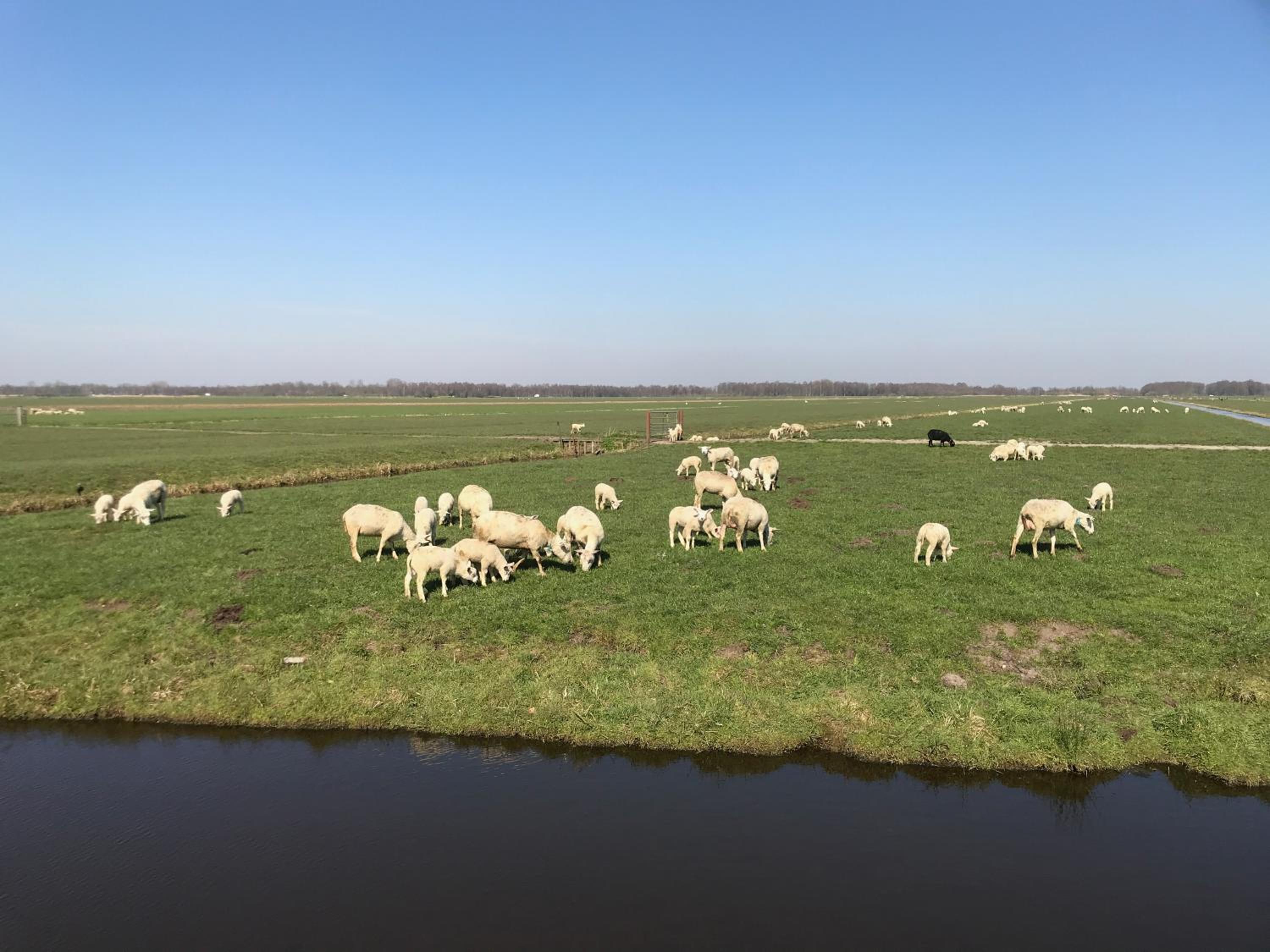 De Kopstoof, photo 56