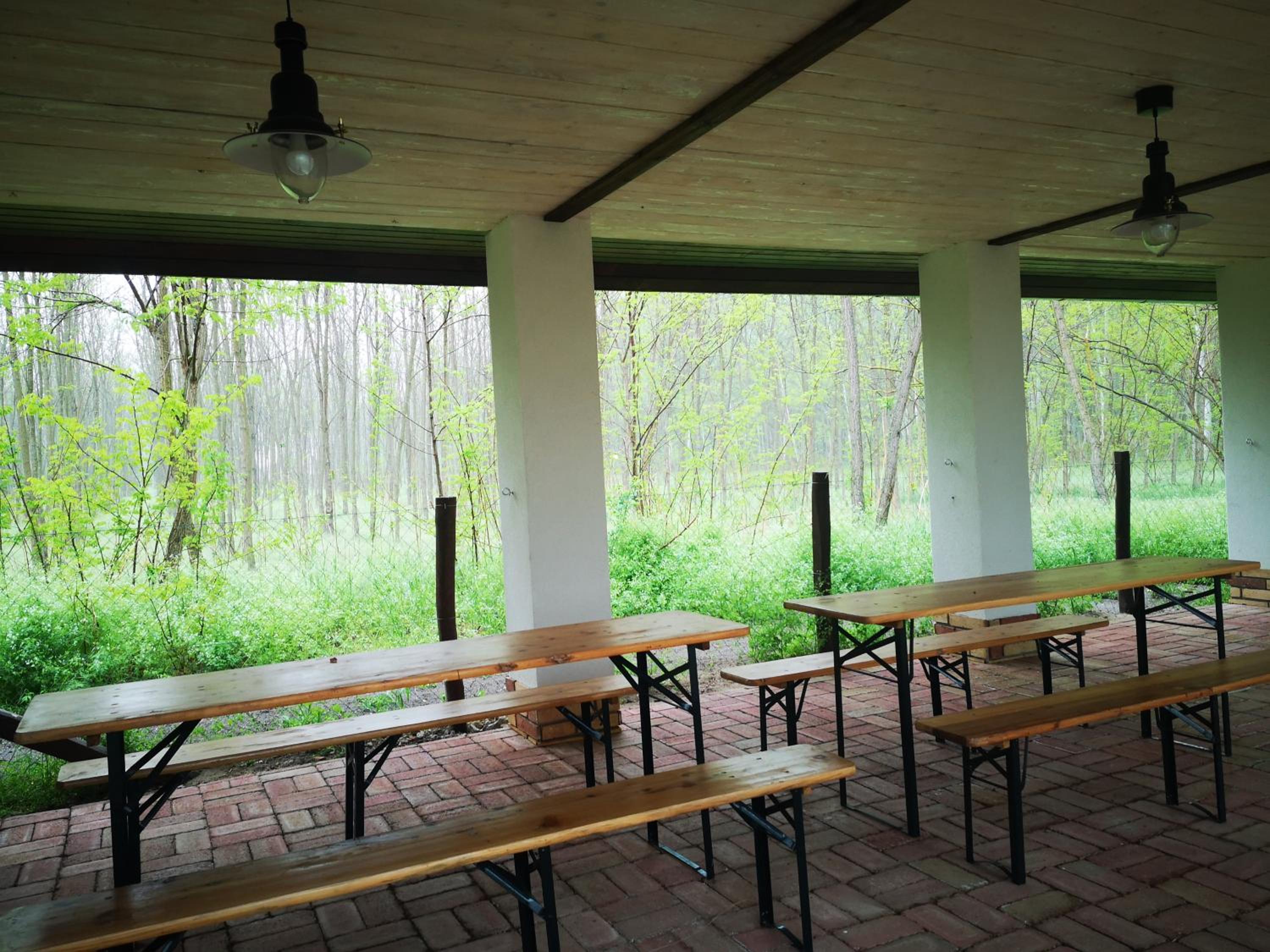 Photo 41