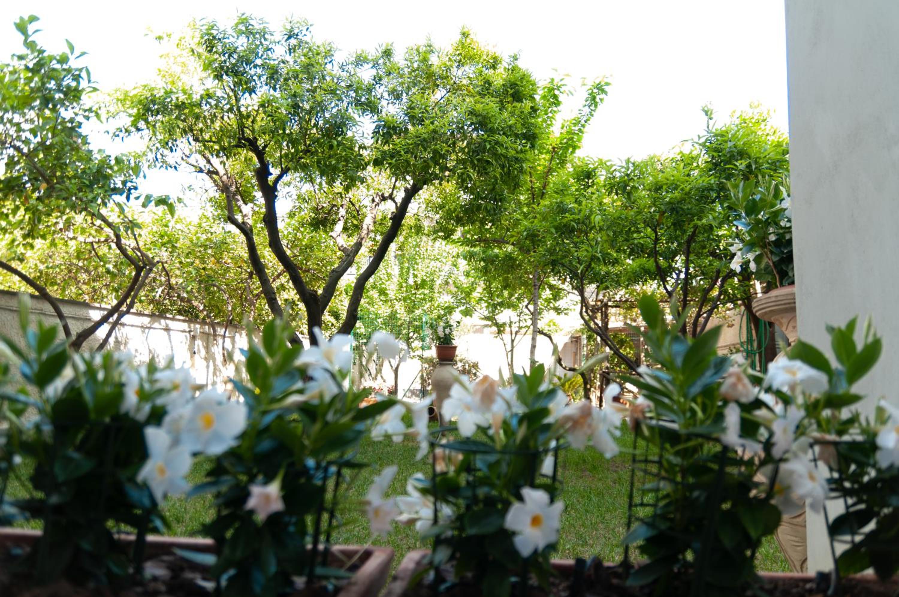 Photo 37