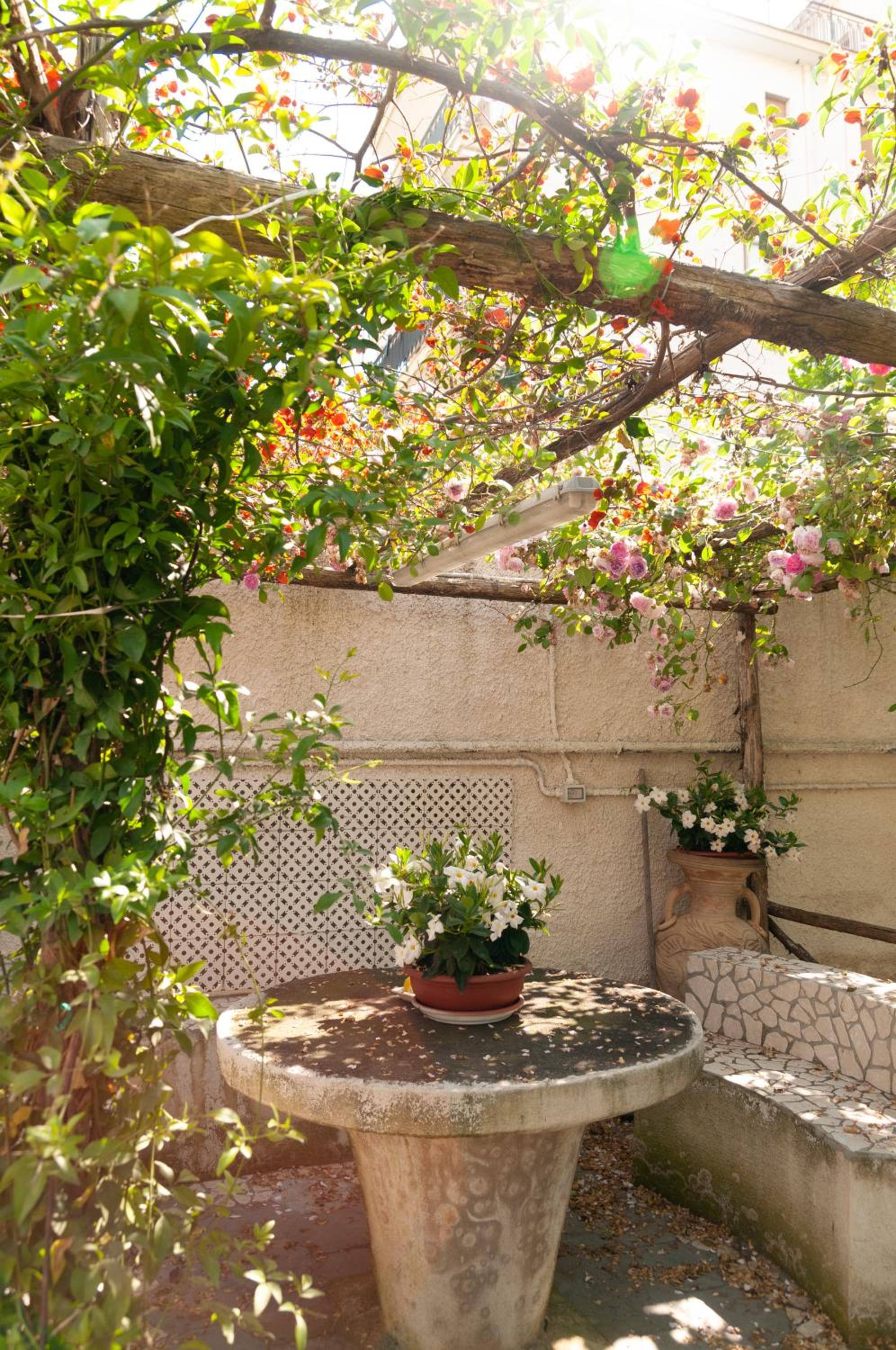 Photo 41
