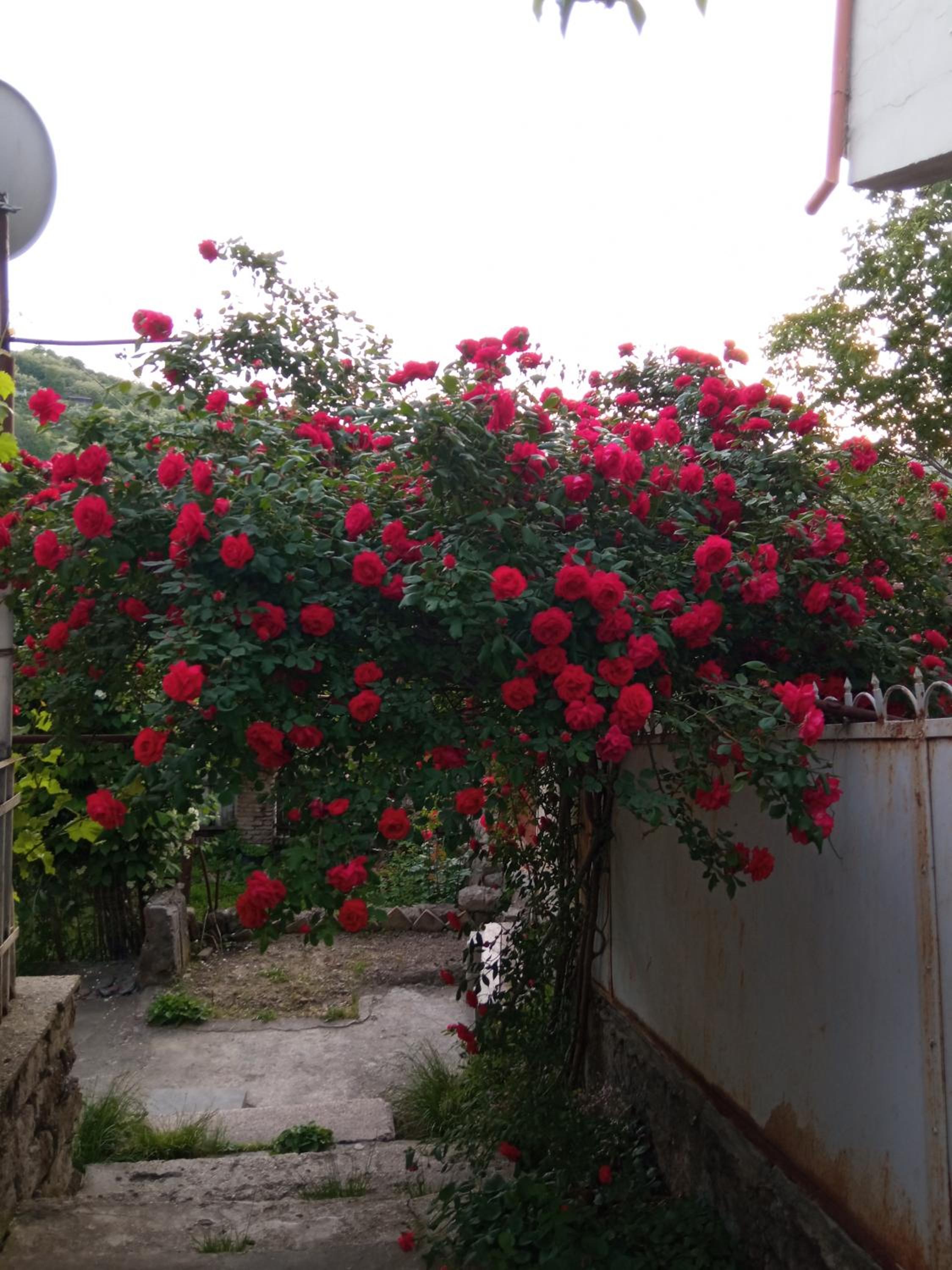 Photo 30