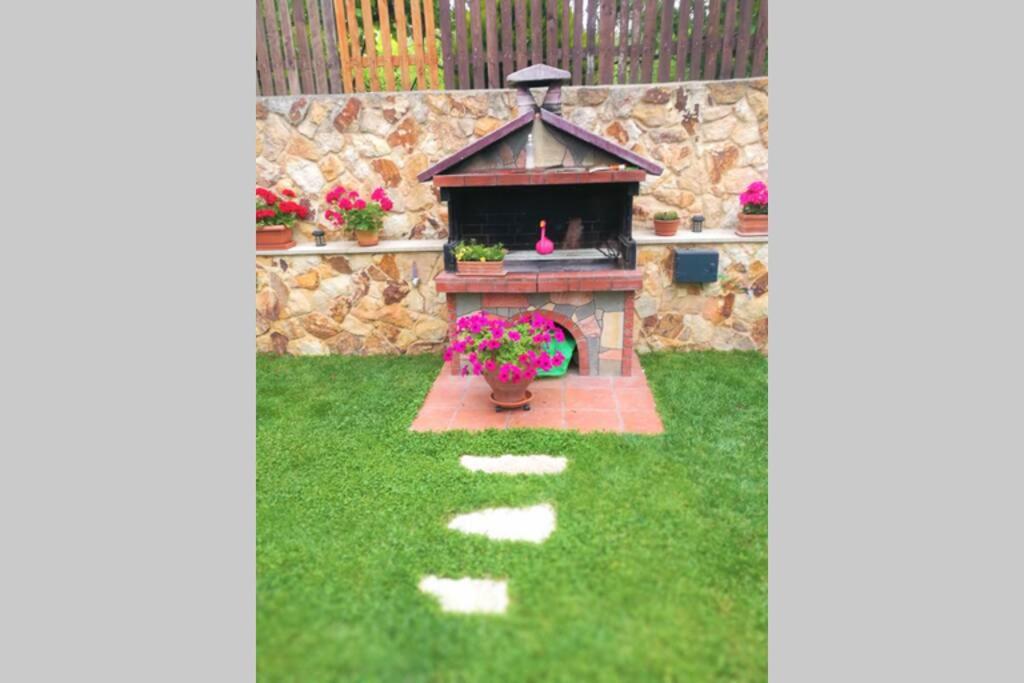 Photo 31