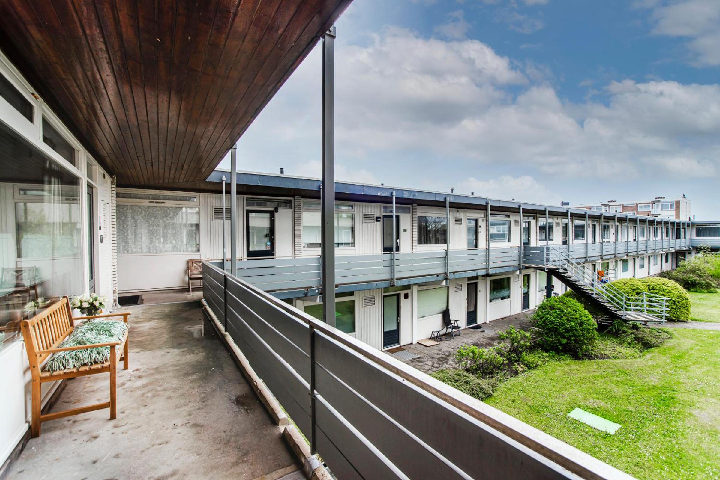 Papillon flat view 3