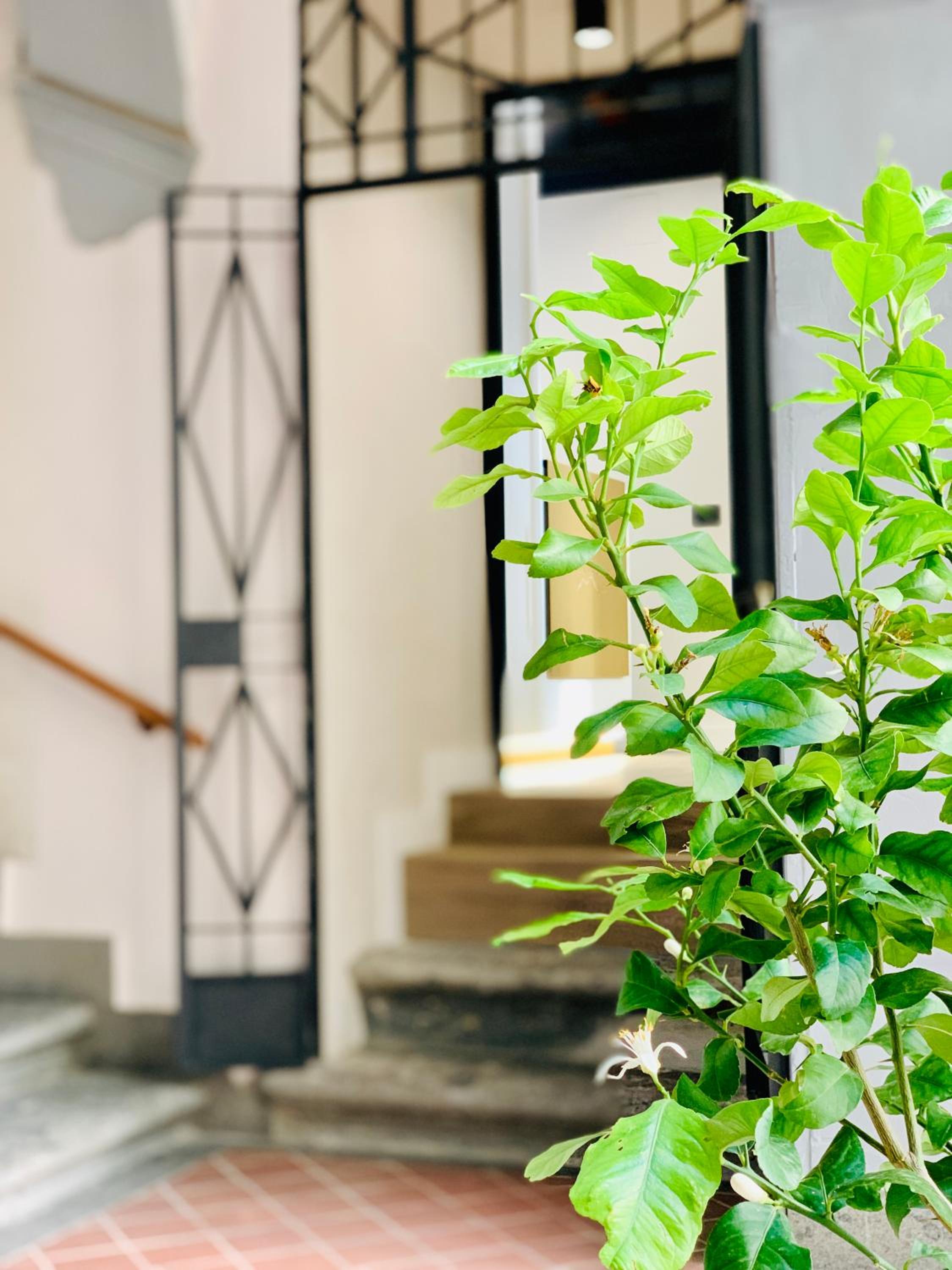 Toledo Boutique Rooms