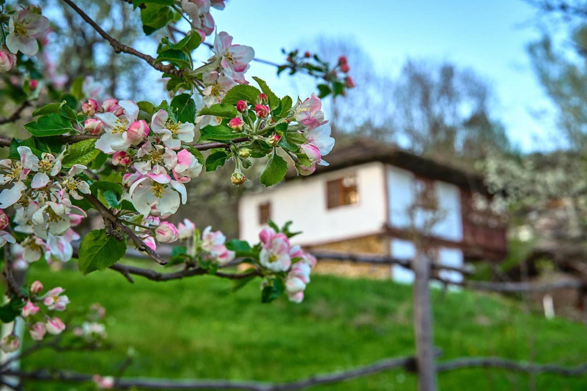 Authentic House with Stunning Mountain View - Karashka