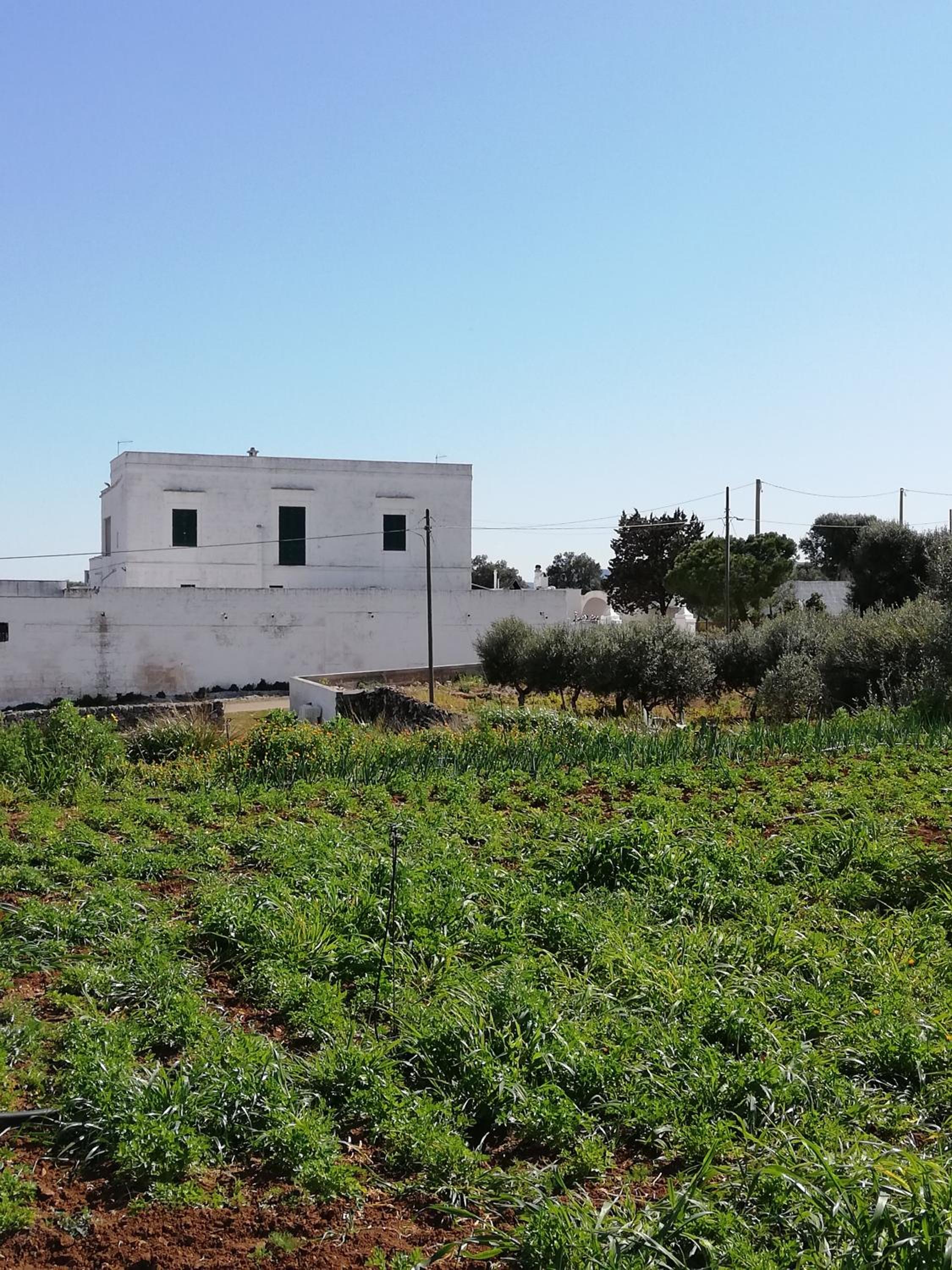 Masseria Ricci