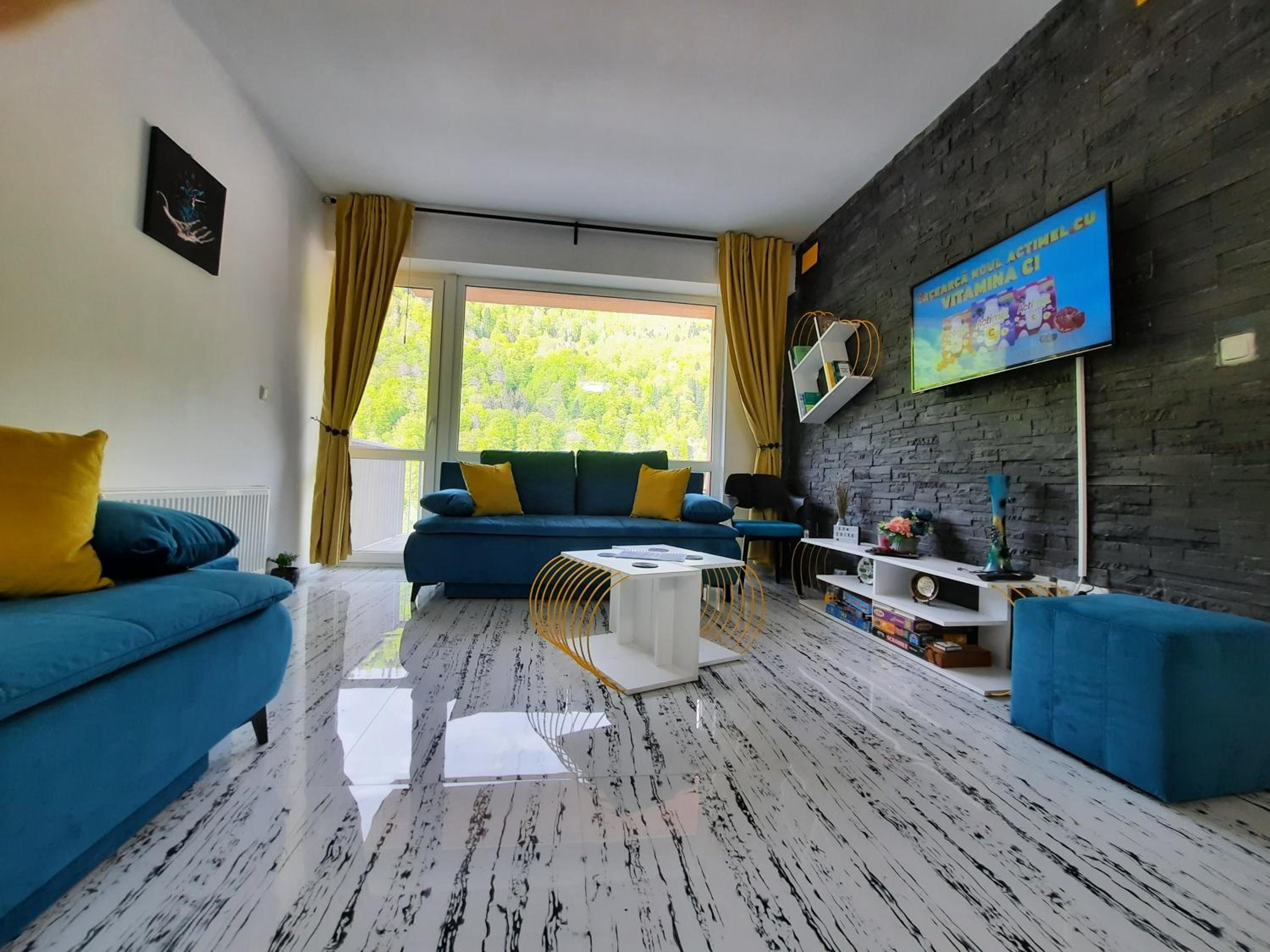Apartament Erika Sinaia view 5