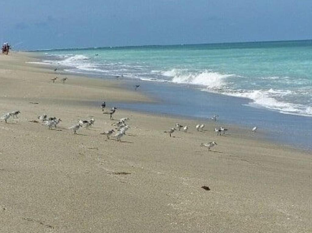 Excellent beach front community, golf course, tennis, sunny weather year round!