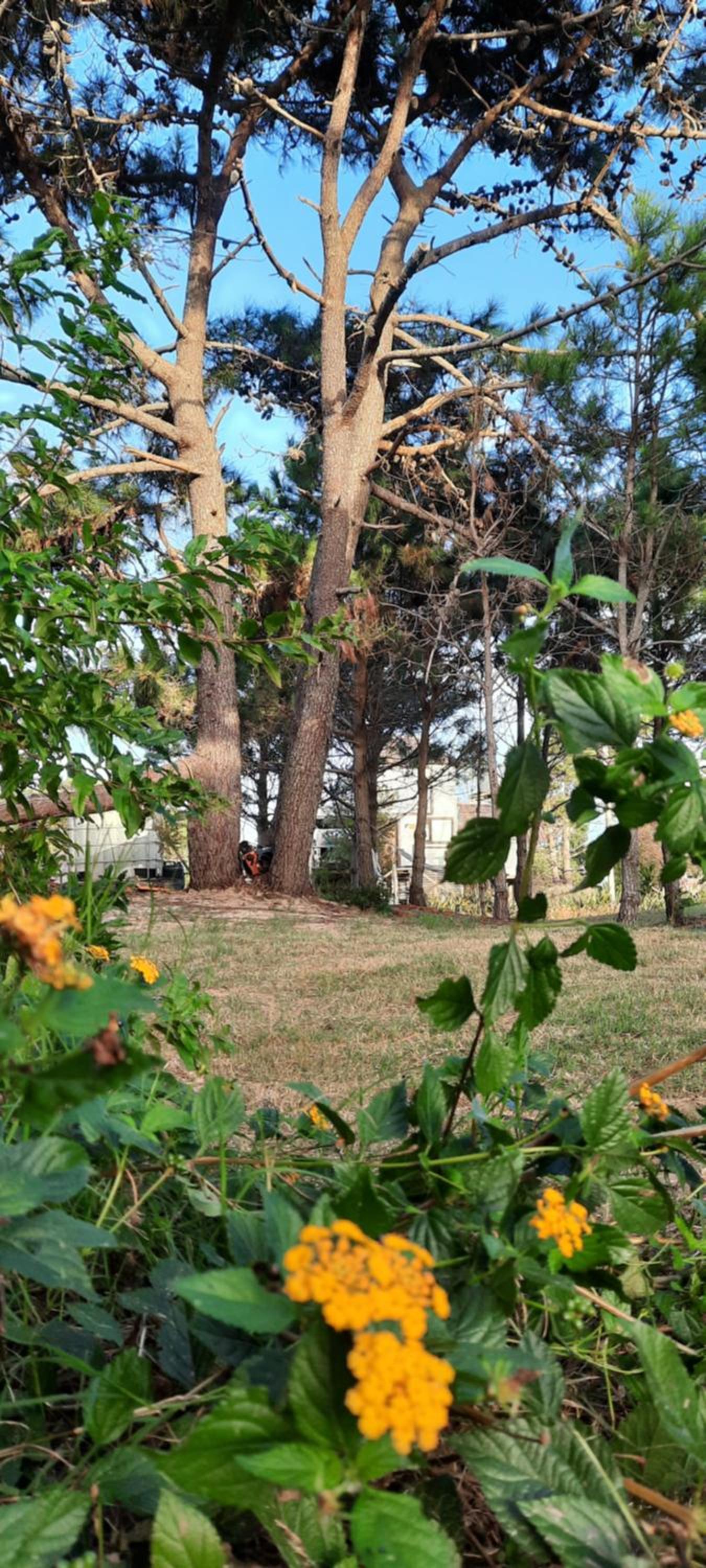 Villa Alba