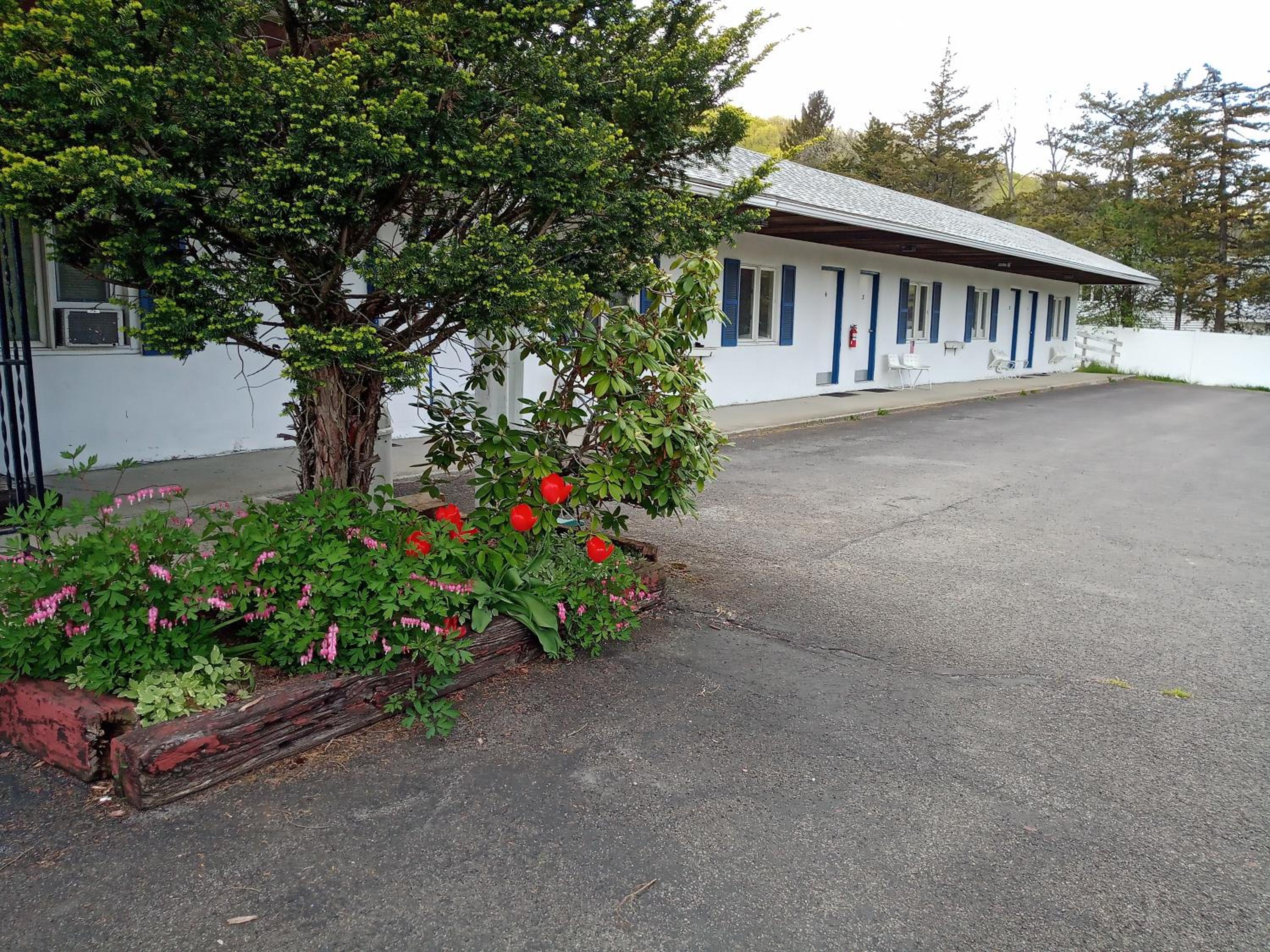 Elm Tree Motel