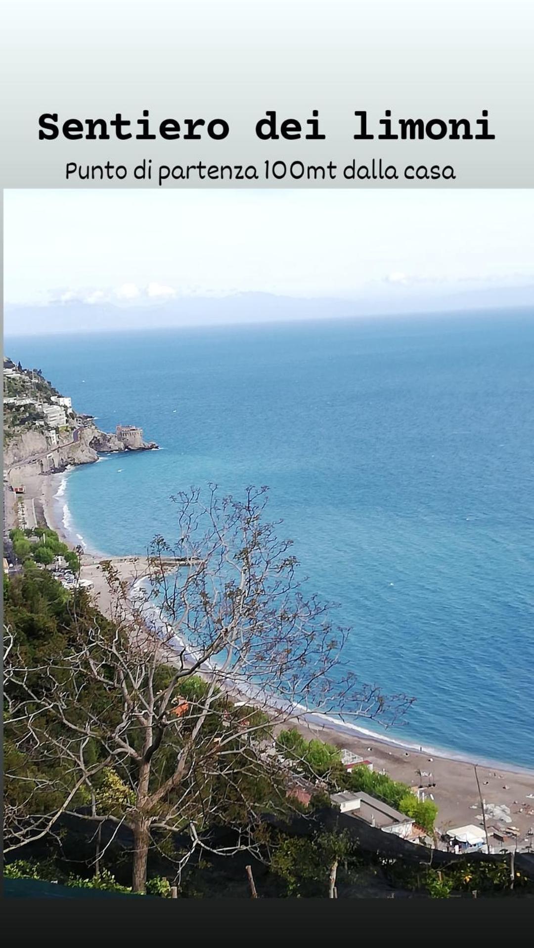 La finestra sul cortile photo 3