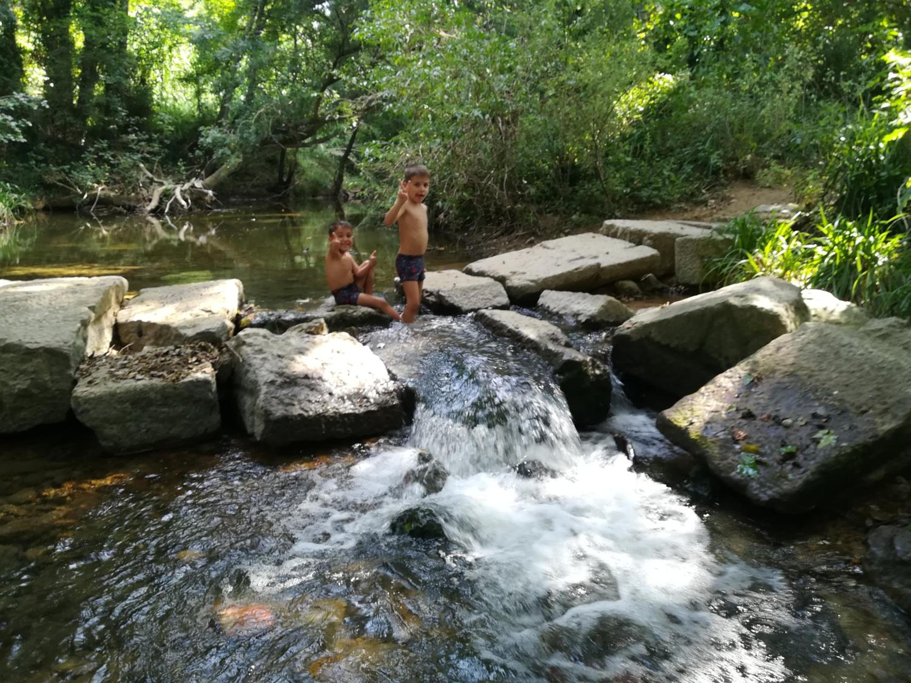 Photo 48