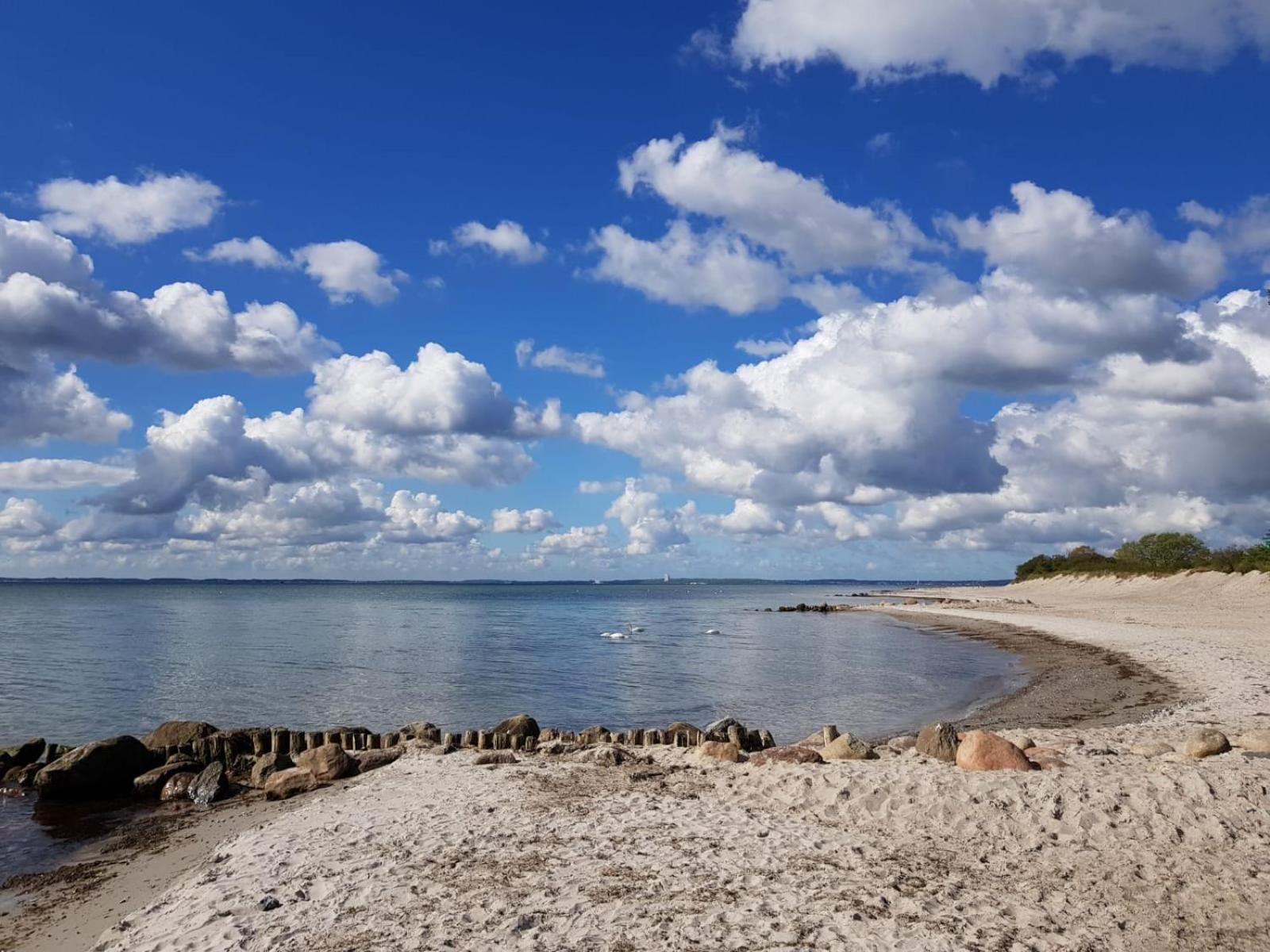 Bärenklau