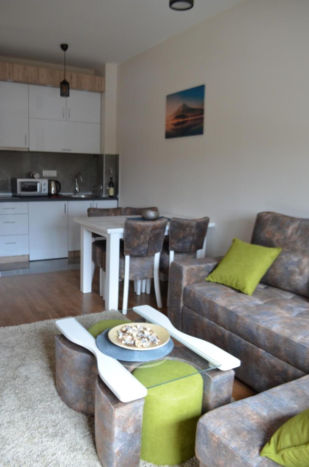 Vila Elsa 2 apartman Kosta Todorović view 2