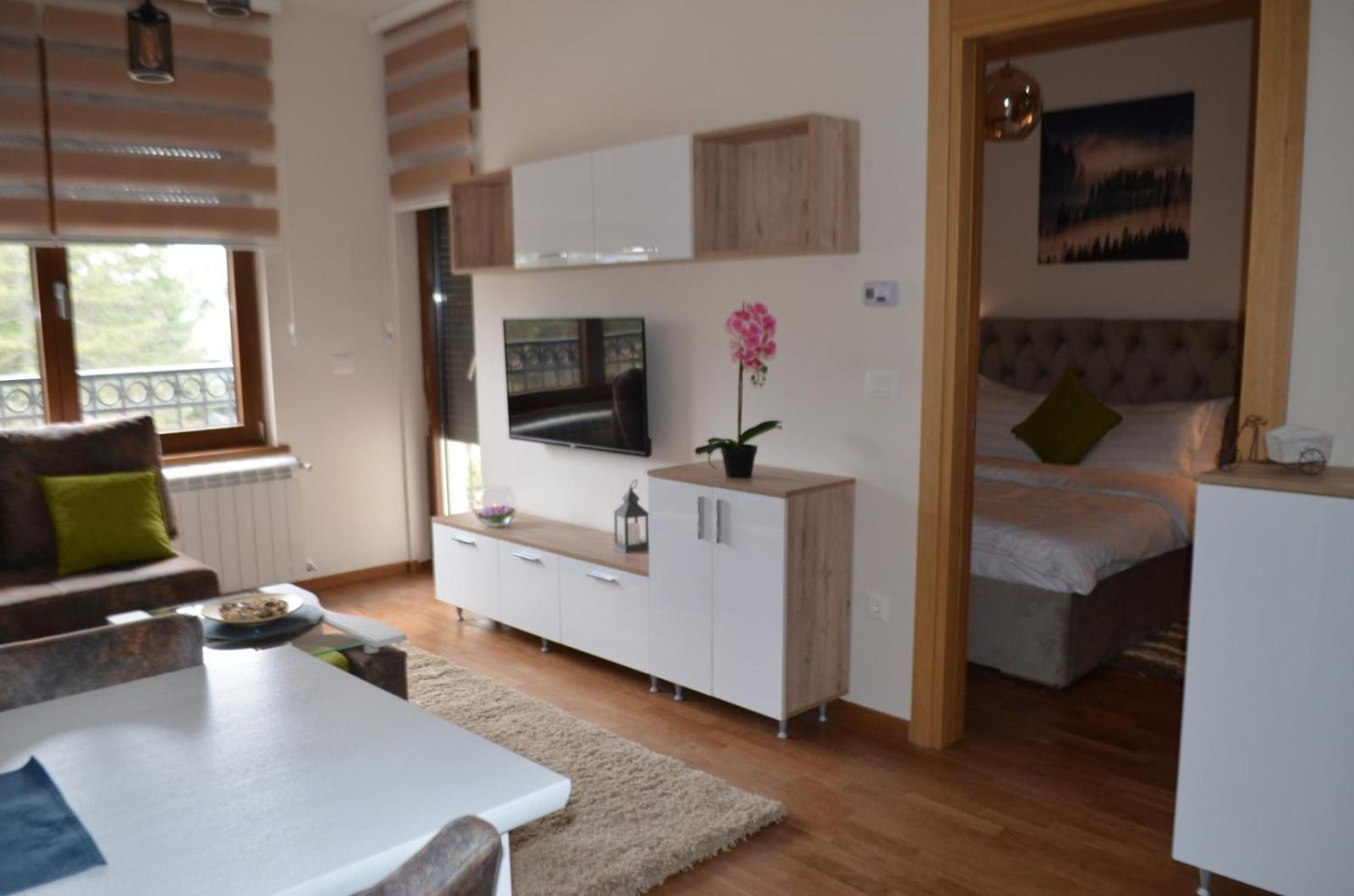 Vila Elsa 2 apartman Kosta Todorović view 3