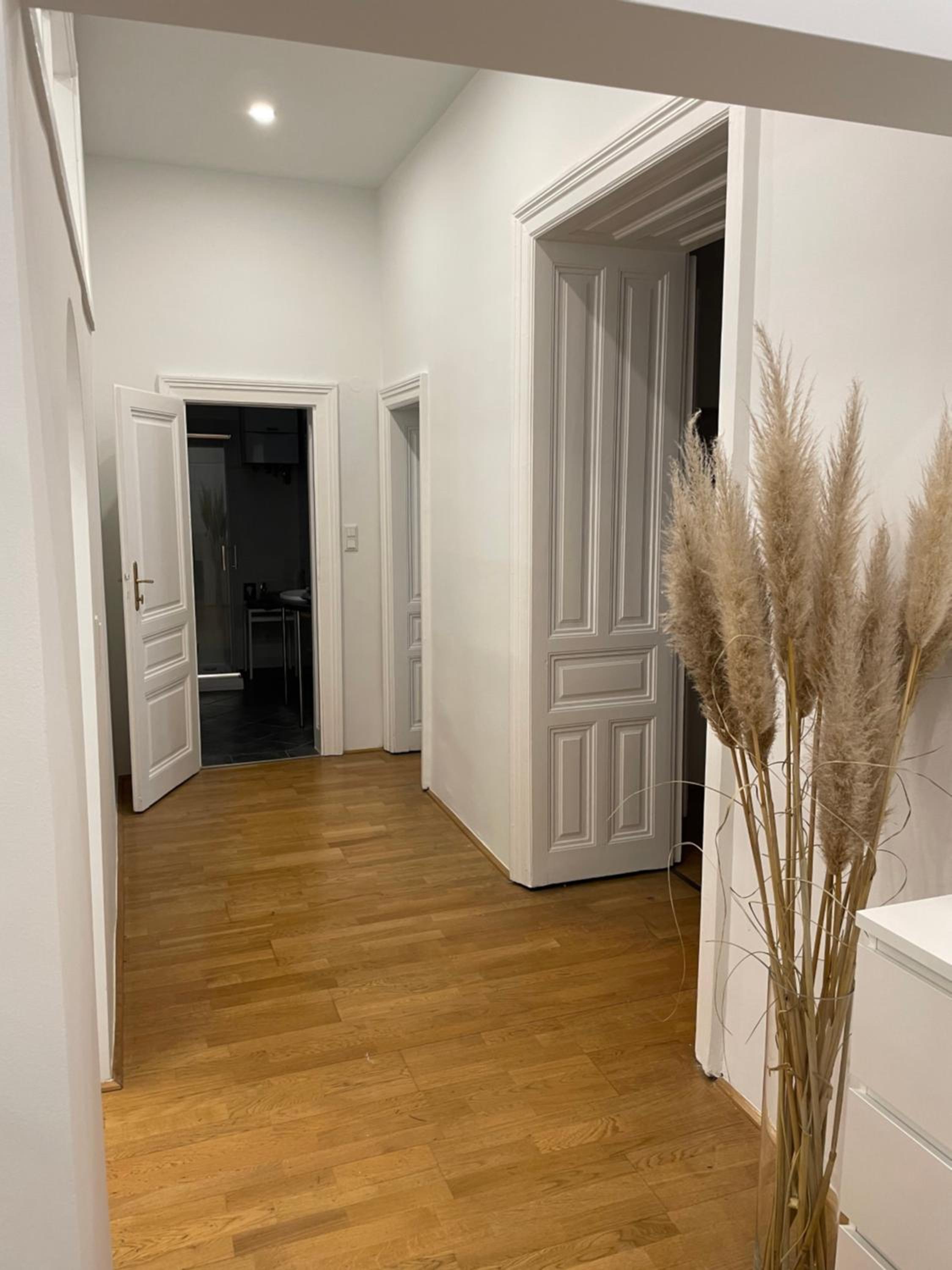 100m2 Apartment Nähe 1010 Wien